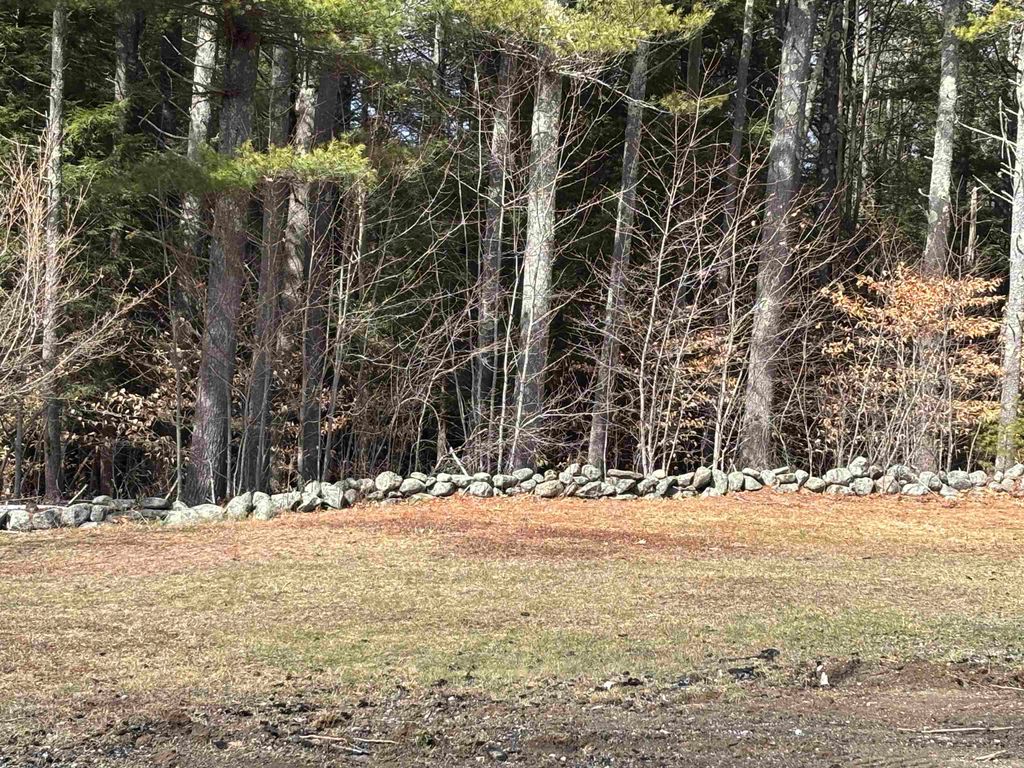 Photo of 86 Mountain Road, Greenfield, NH 03047 (MLS # 5084418)