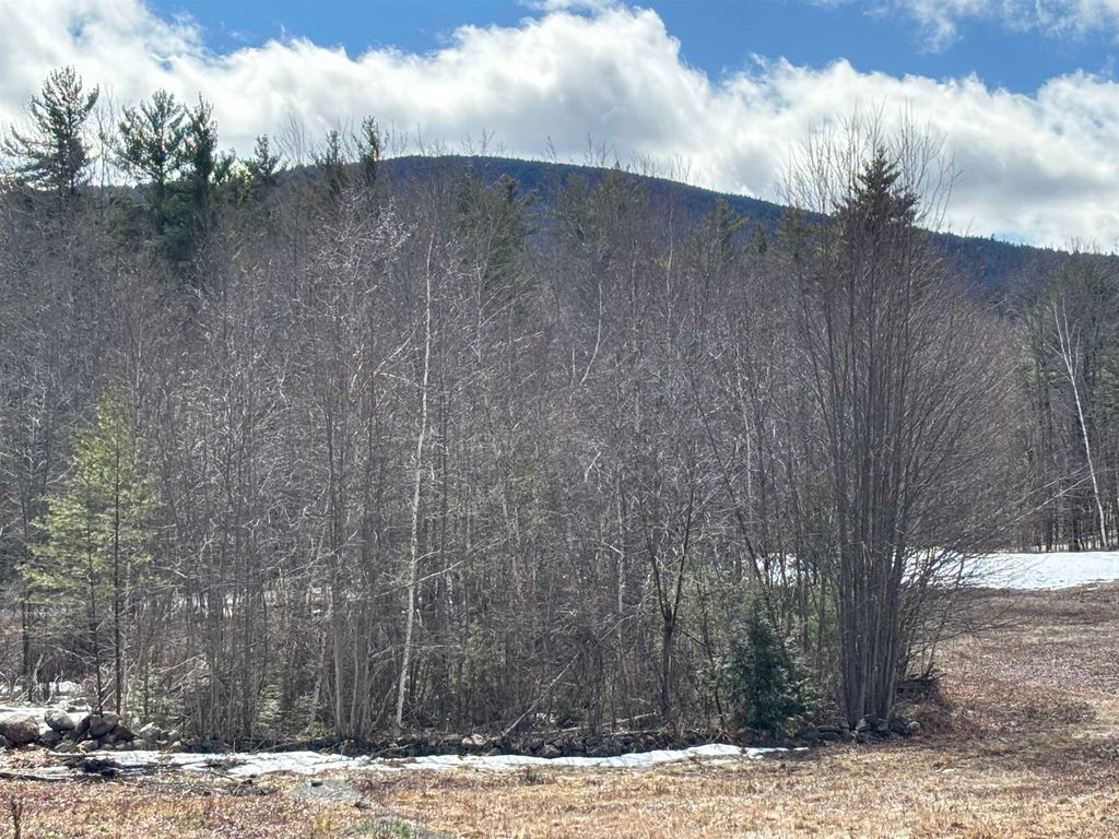 Photo of 86 Mountain Road, Greenfield, NH 03047 (MLS # 5084418)