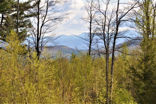 ADDRESS PRIVATE, HEBRON, NH 03241 - Image fdaa07ef7fe27e9f942702c8f1cdb6f9/1629283690