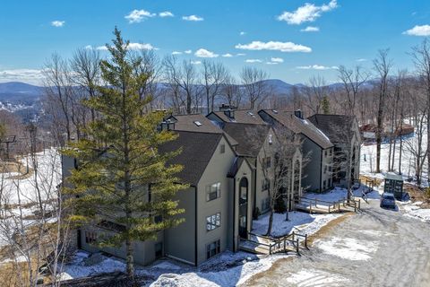 58 Harrison Lane K301 Ludlow VT 05149