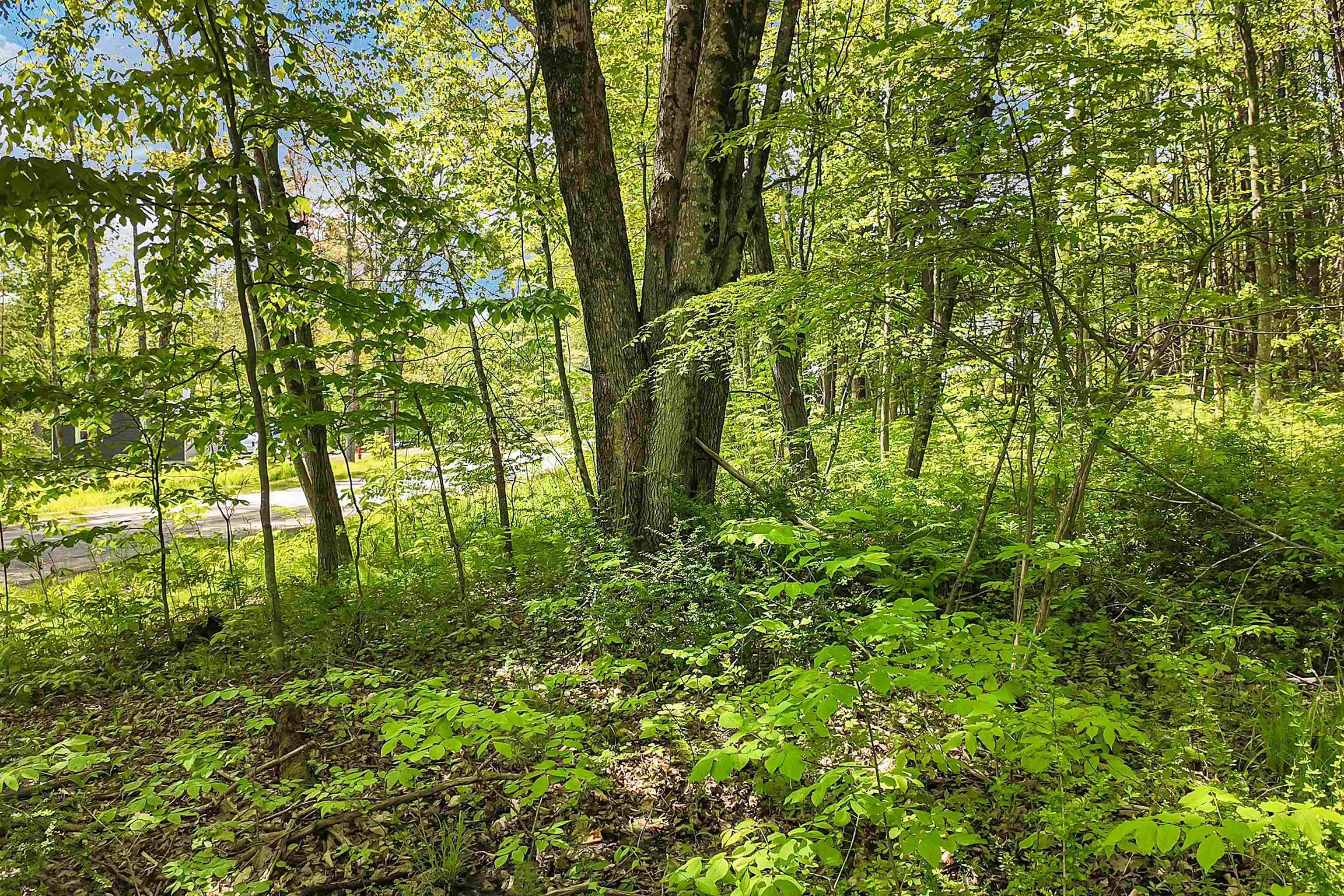 Lot 4 Vere Royce Road Lot 4