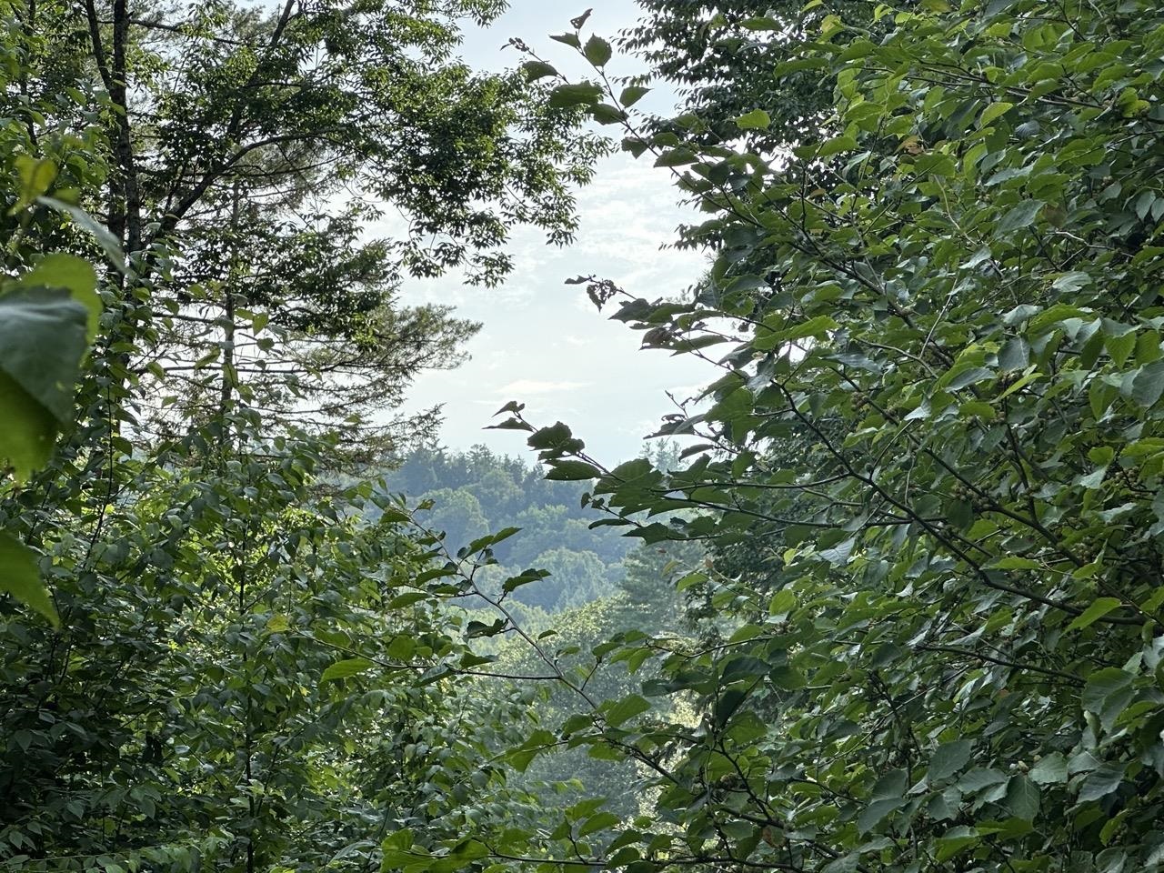 00 Vermont Route 103