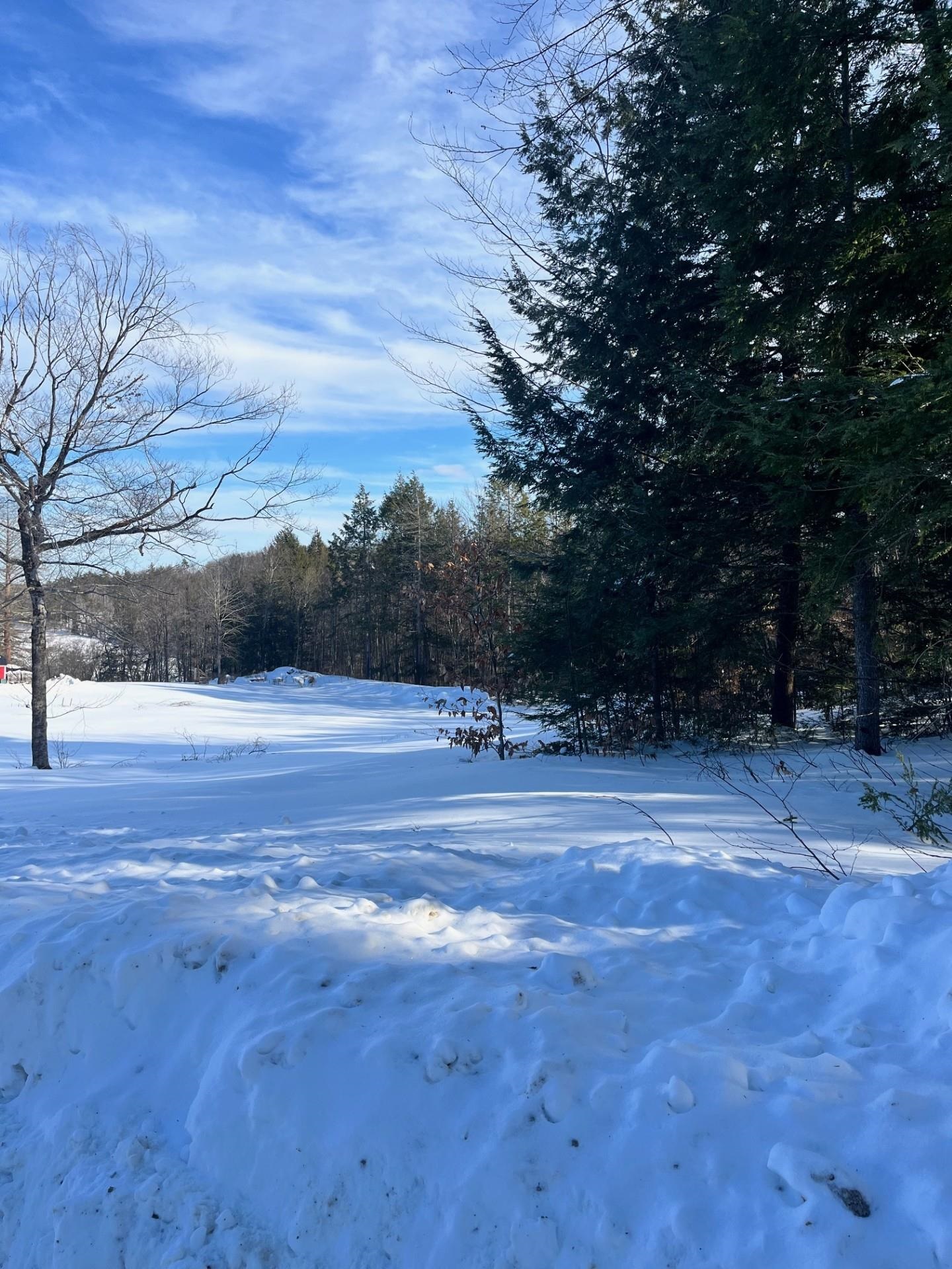 Lot 70.1 N Old Branch Road