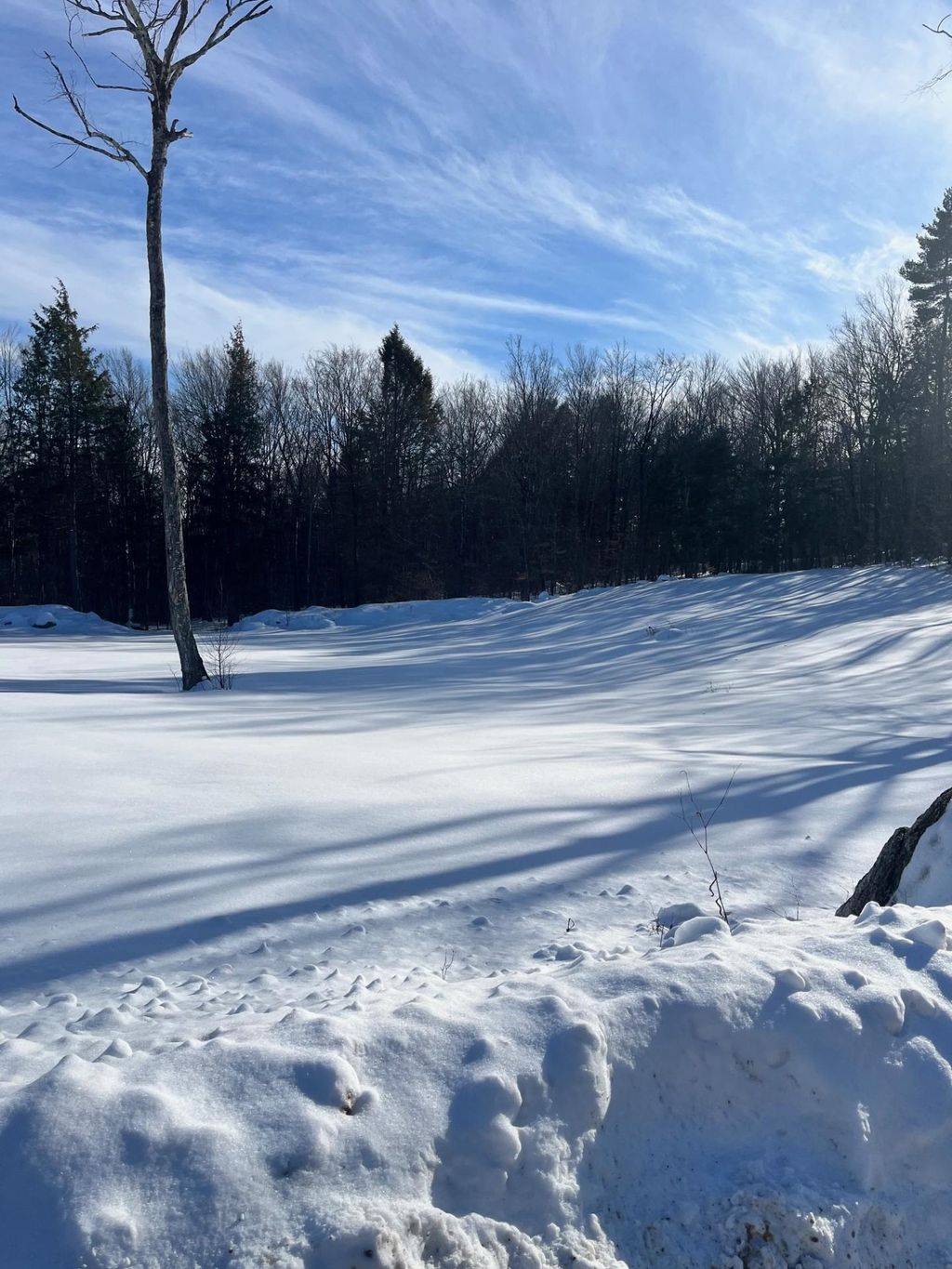 Photo of 701 N Old Branch Road, Antrim, NH 03440 (MLS # 5078152)