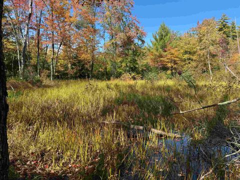 0 Green Mountain Road Effingham NH 03882