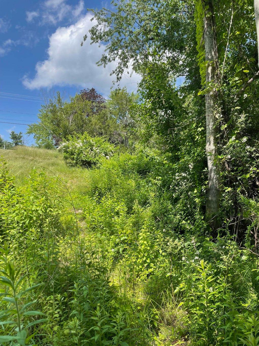 Photo of 00 Lovell Road, Stratham, NH 03885 (MLS # 5040815)