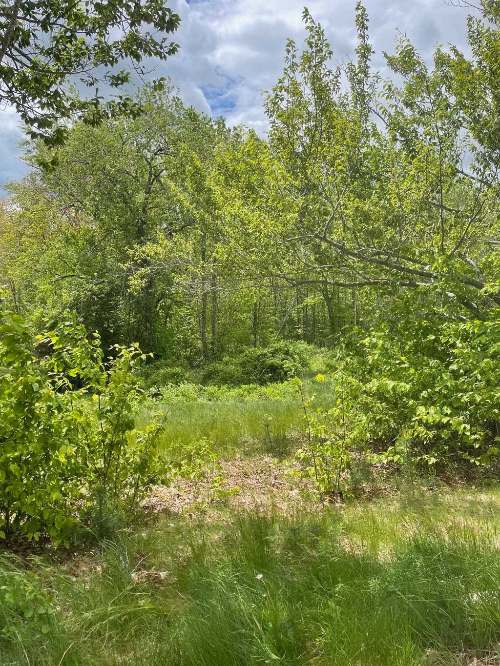 Photo of 00 Lovell Road, Stratham, NH 03885 (MLS # 5040815)