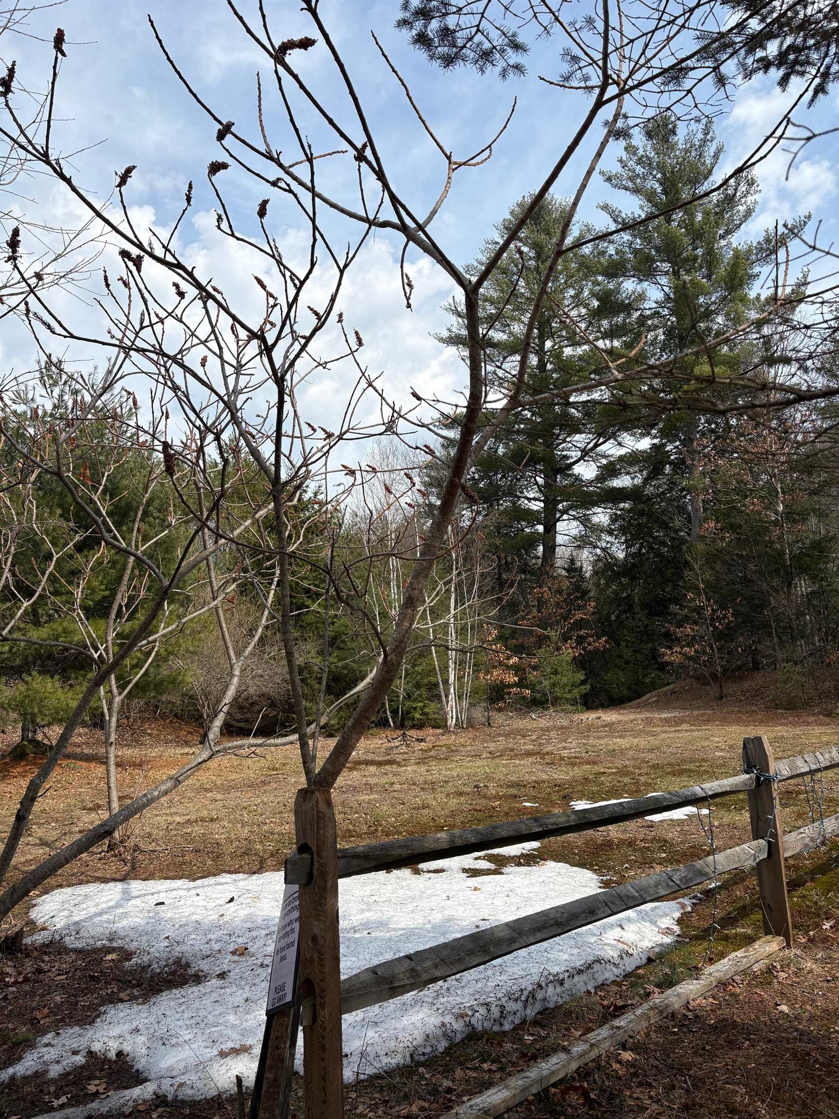 6 S Spaulding Brook Road