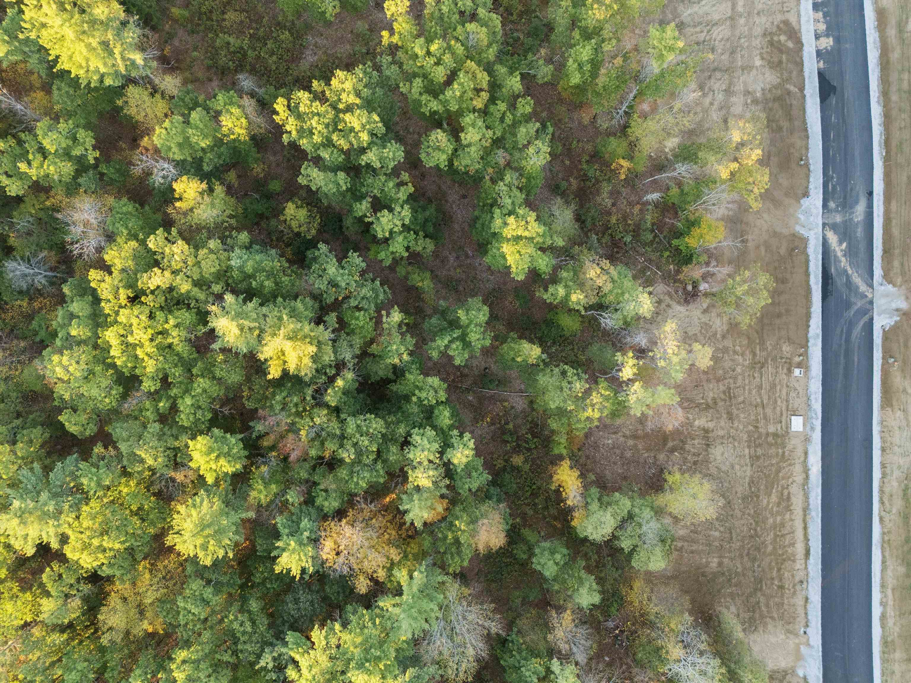 Pear Tree Lane Lot 10