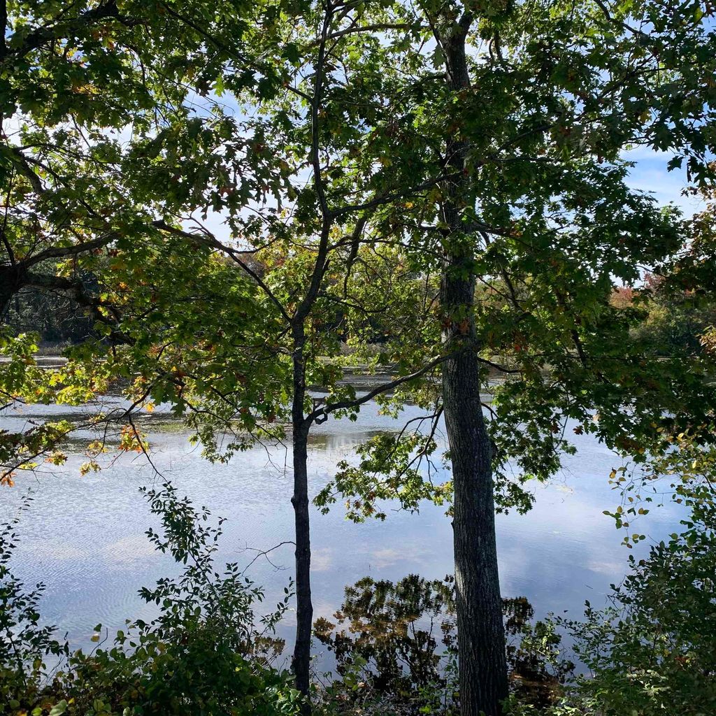 Photo of 52 RIVERVIEW Drive, Rochester, NH 03867 (MLS # 5063928)