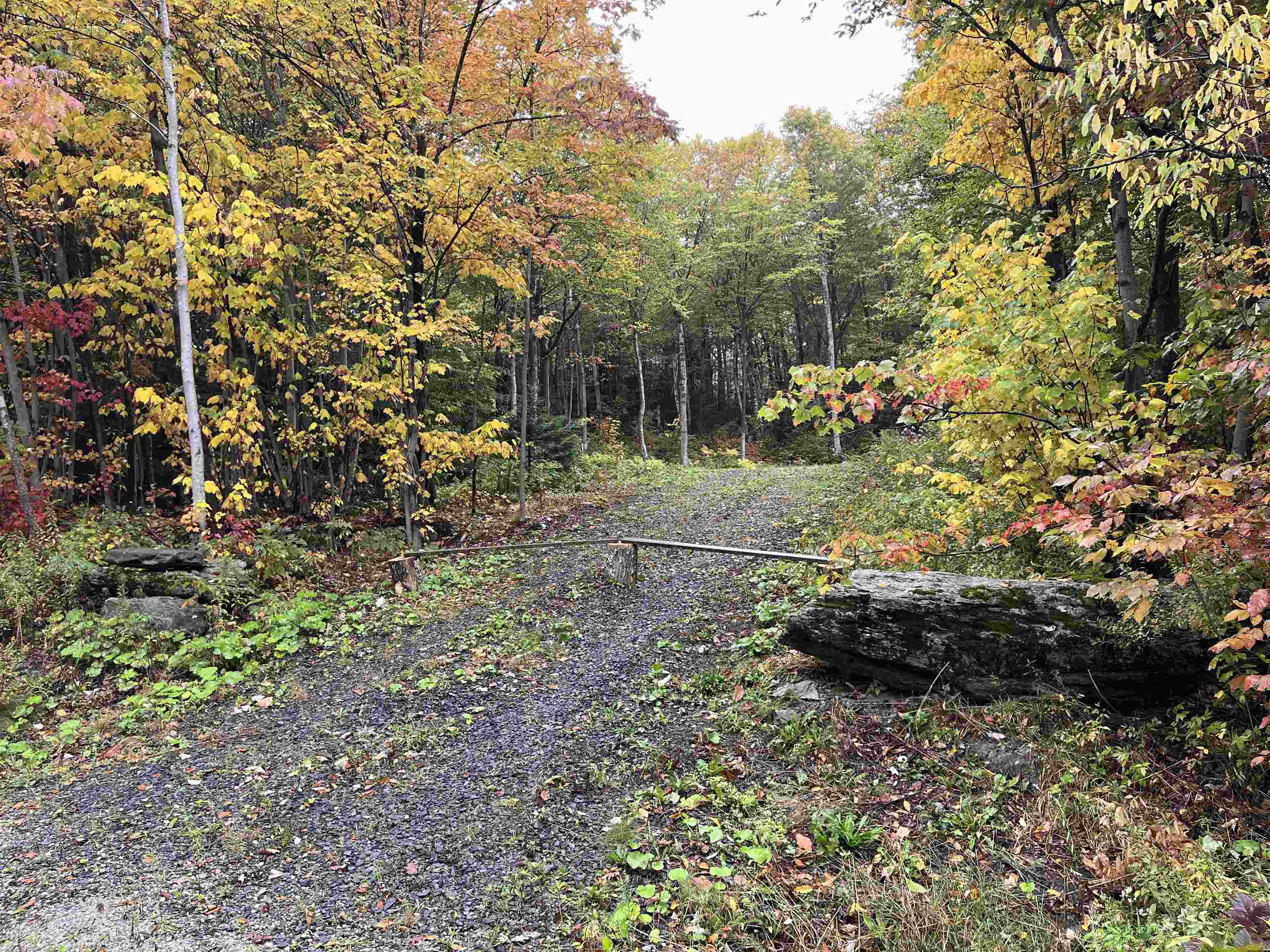 TBD Warren Mountain Road