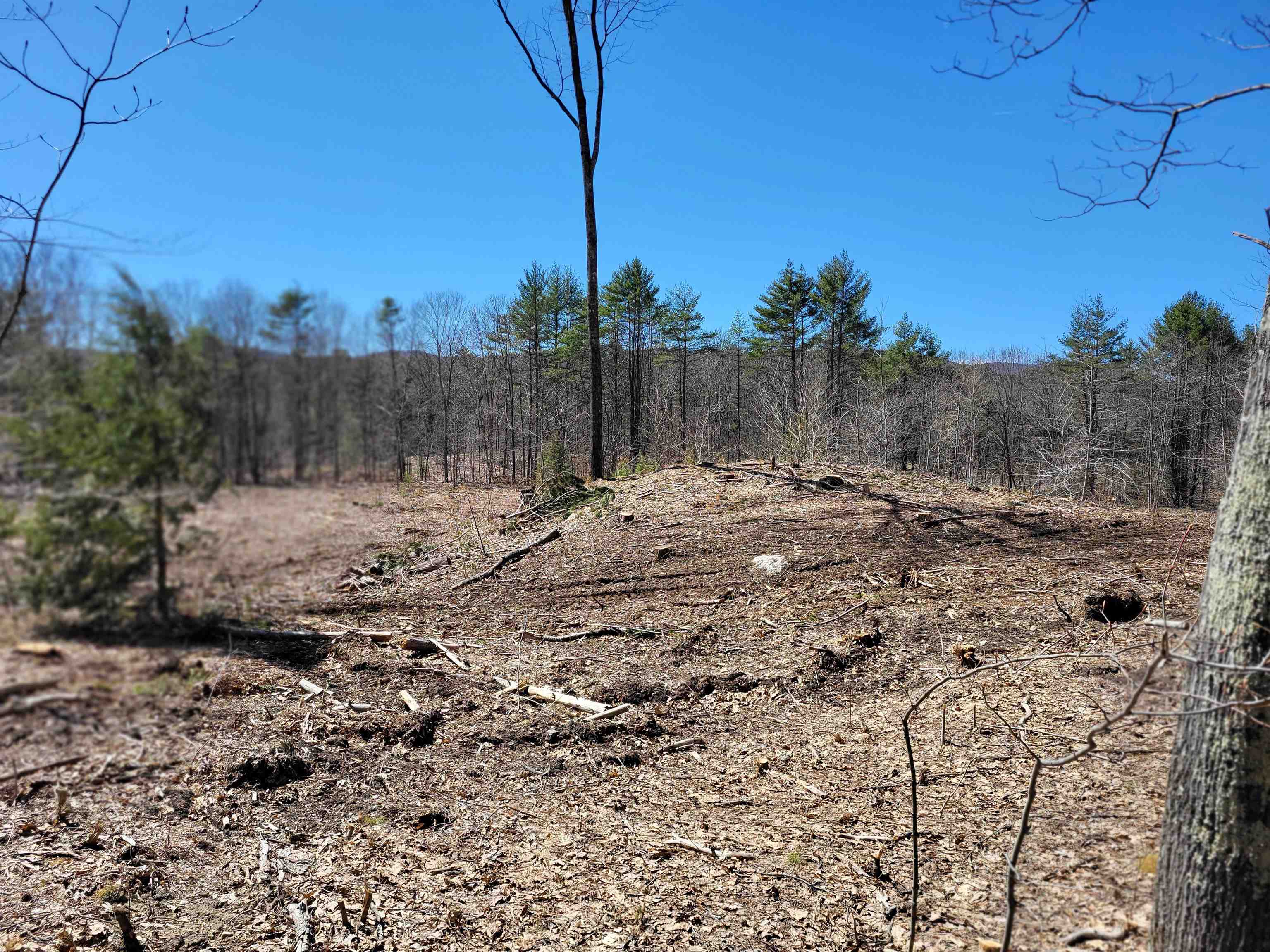 6 Eagle Pond Road 6