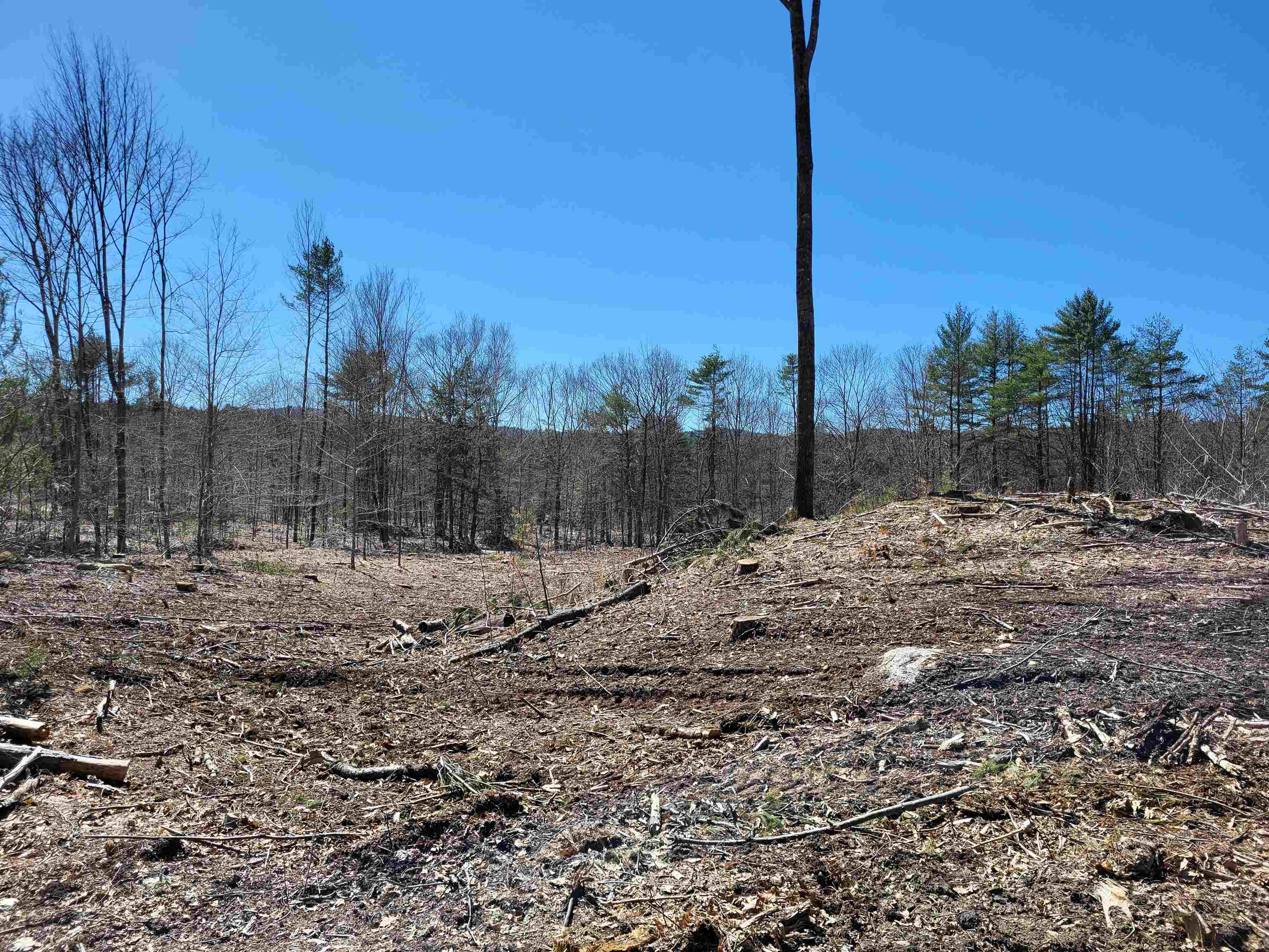 6 Eagle Pond Road 6