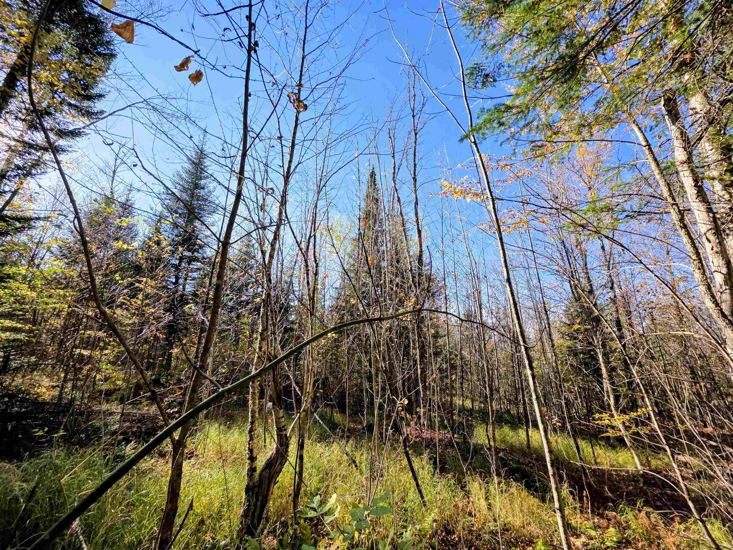 Columbia, New Hampshire 03576, United States, ,Land,Active,222627