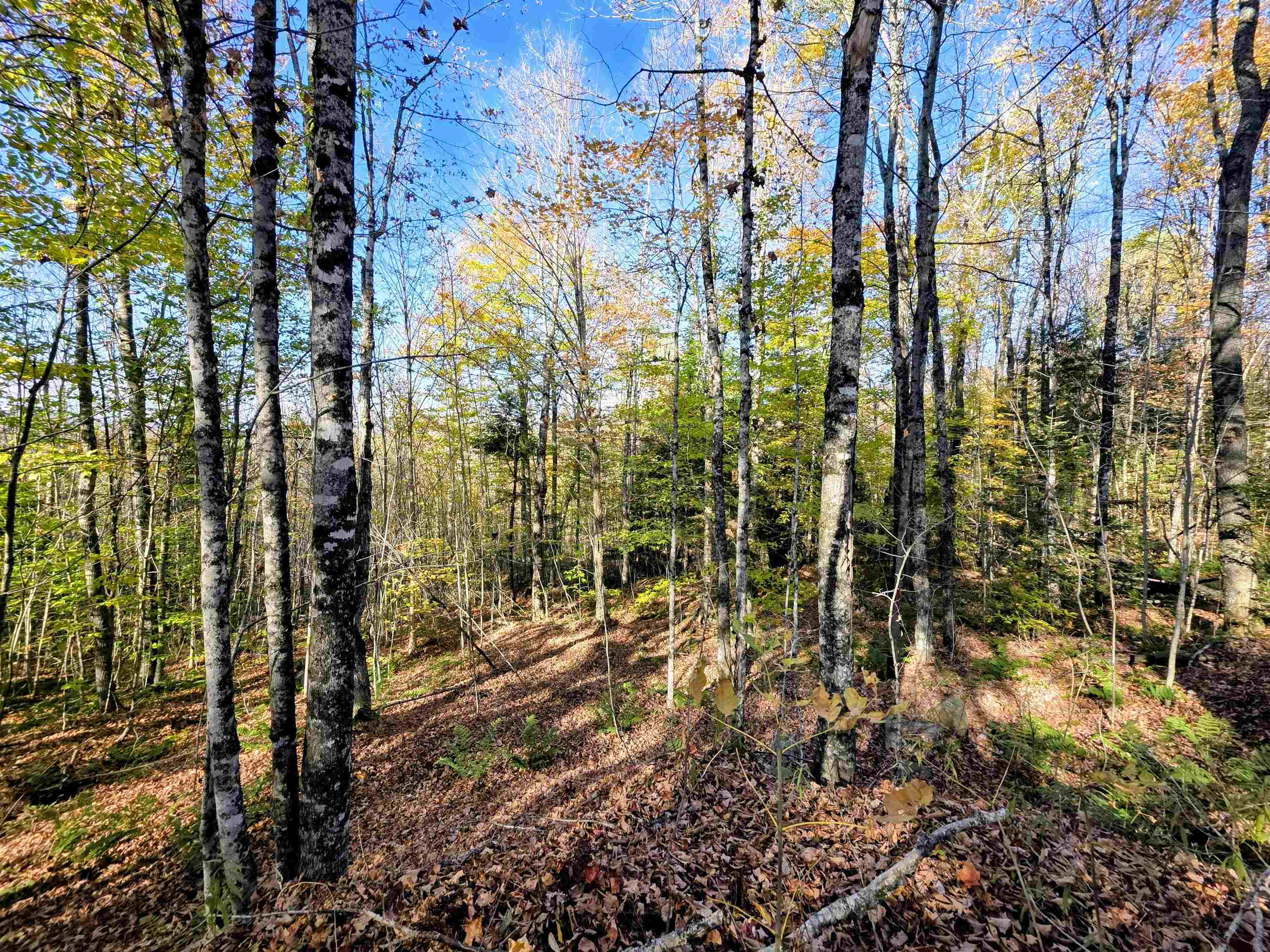 Columbia, New Hampshire 03576, United States, ,Land,Active,222627