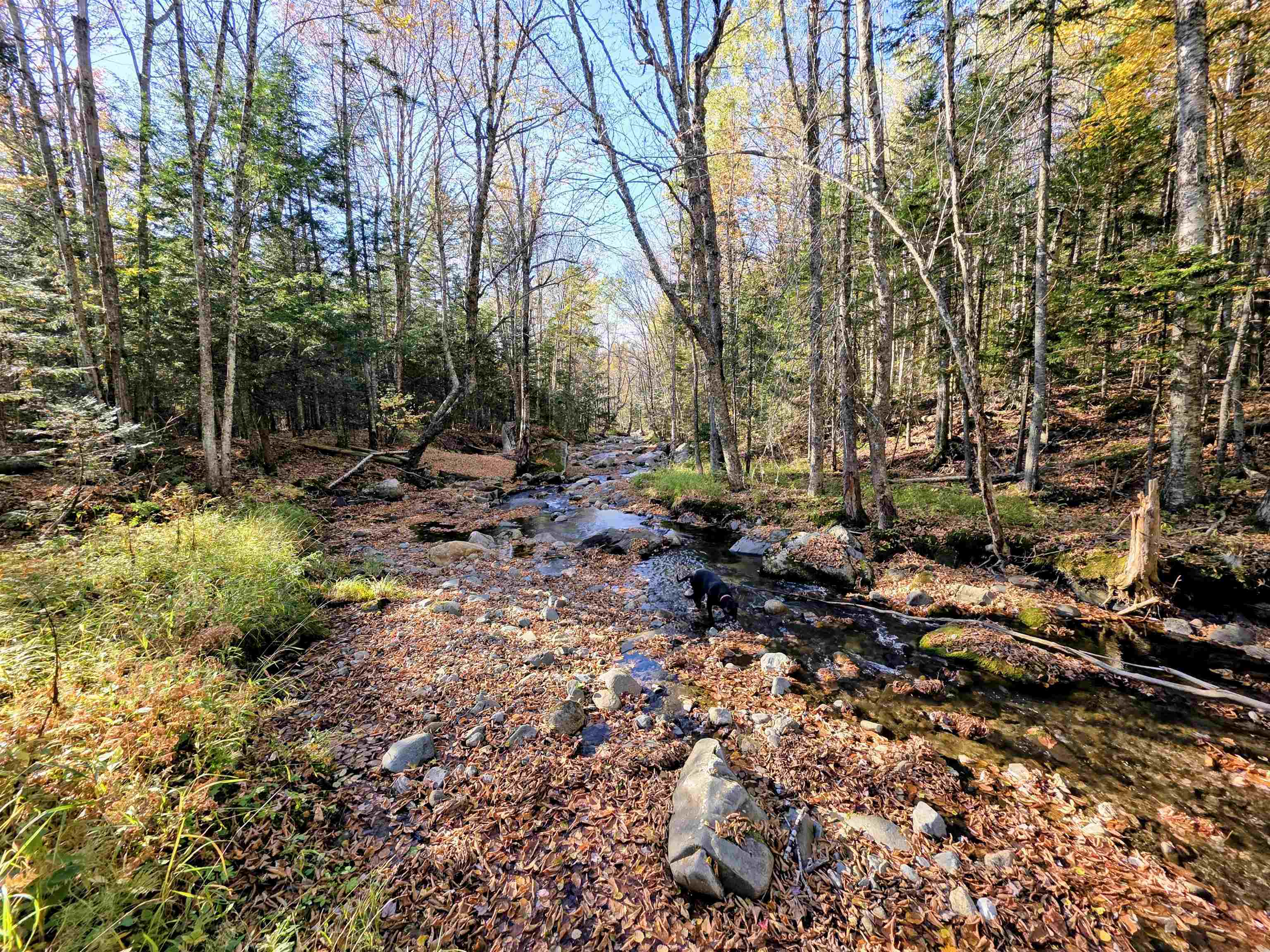 Washburn Road Map 405 Lot 4