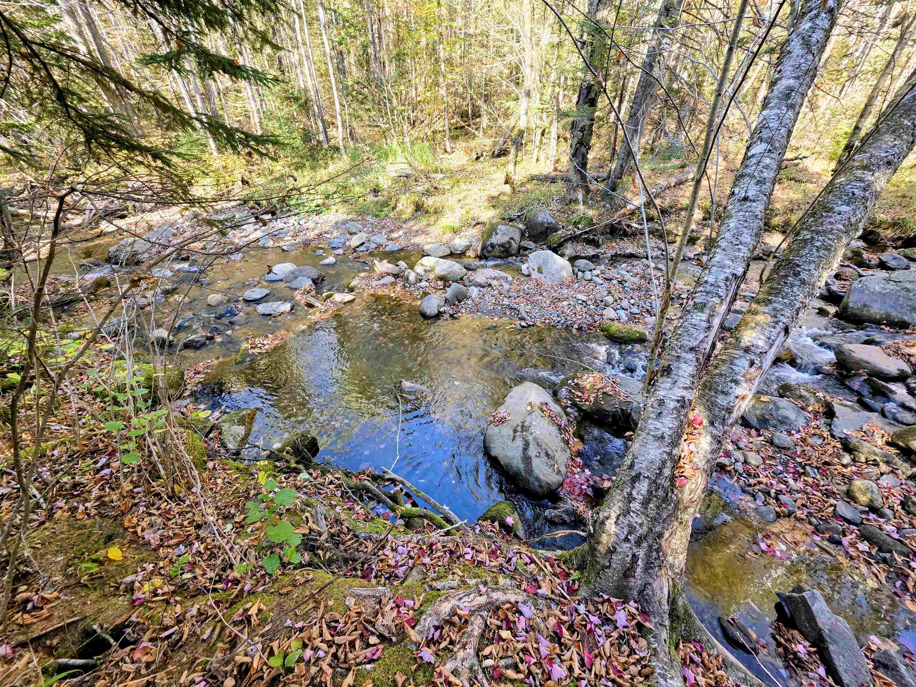 Washburn Road Map 405 Lot 4