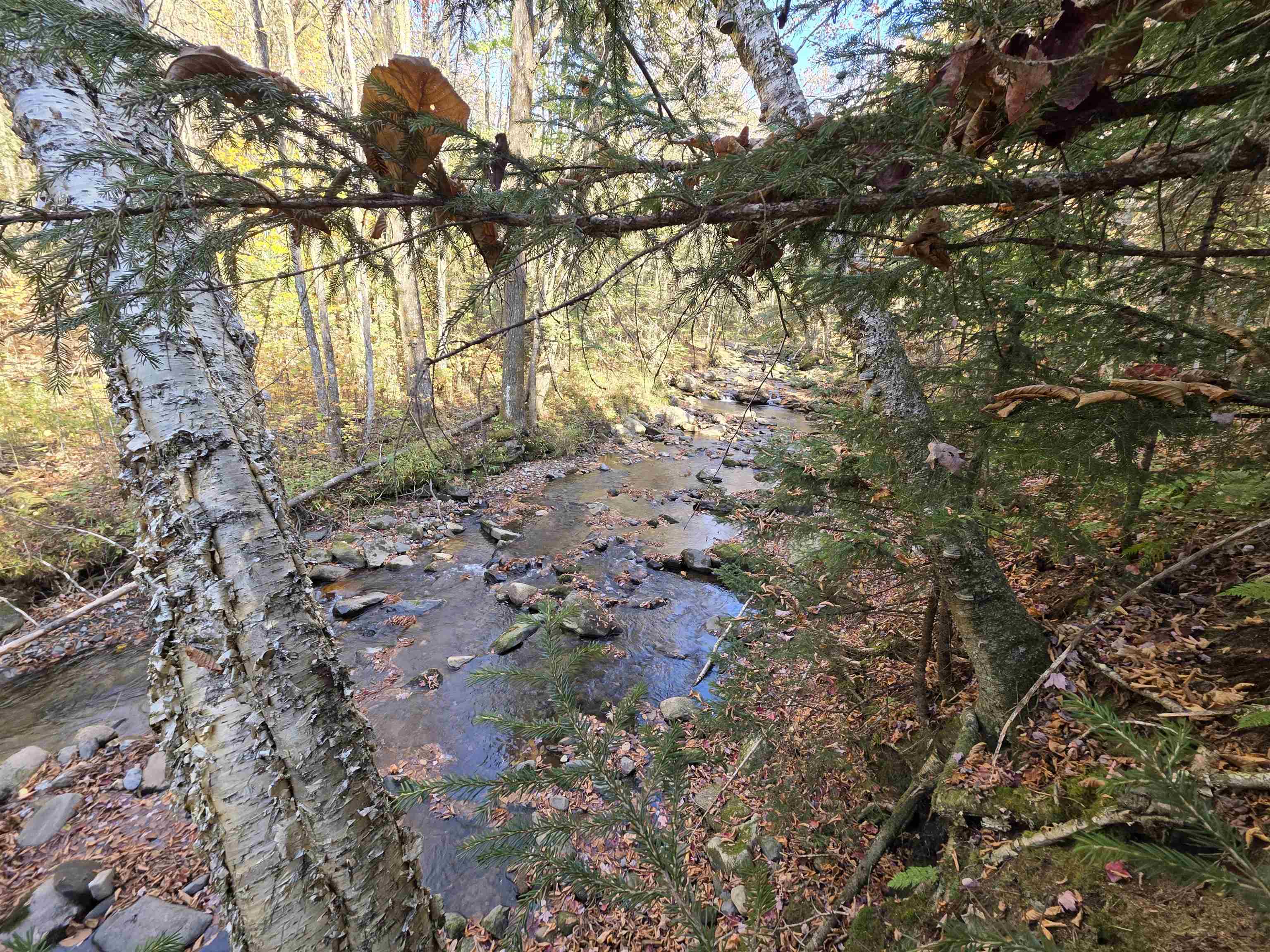 Columbia, New Hampshire 03576, United States, ,Land,Active,222627