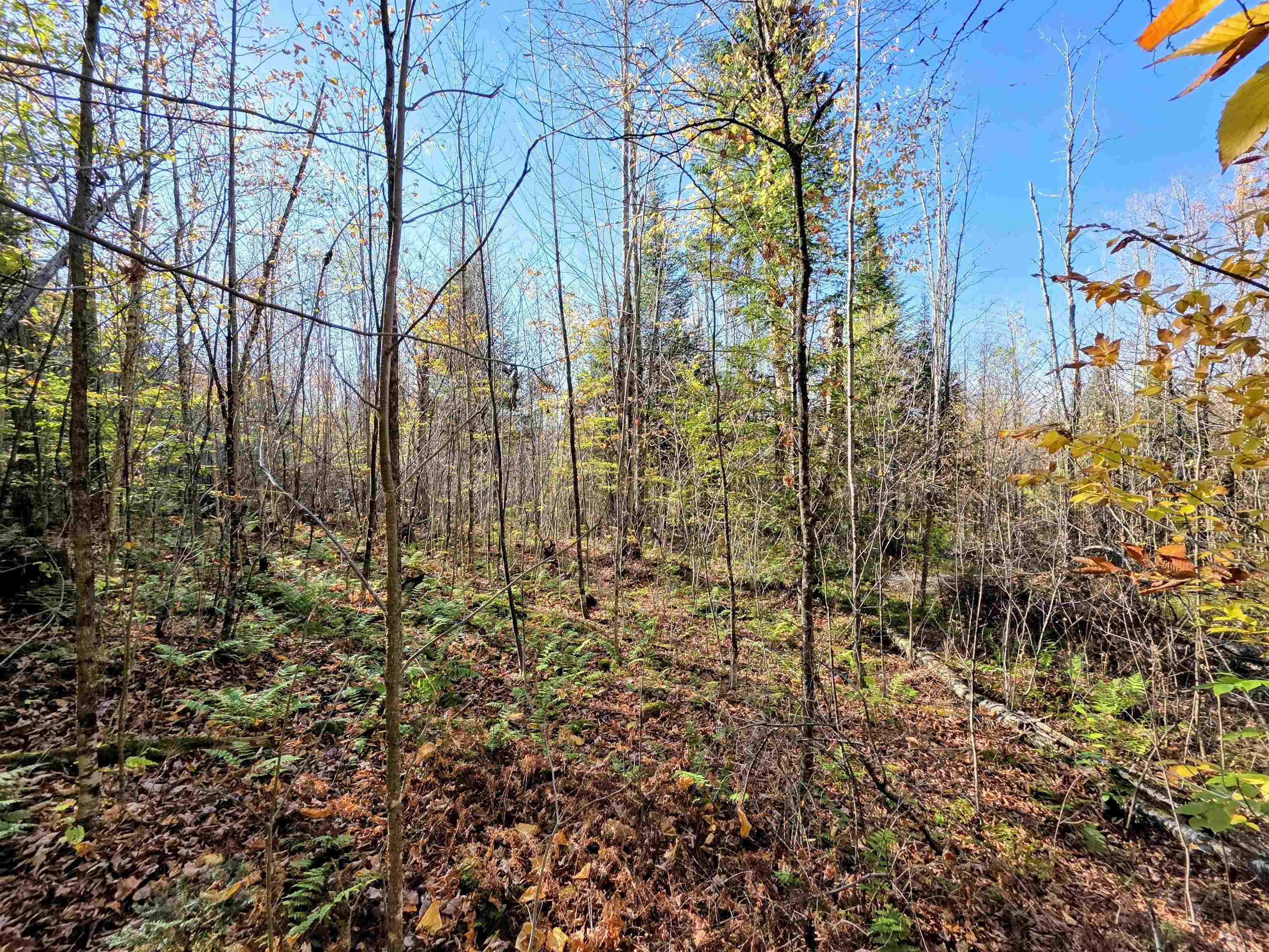 Columbia, New Hampshire 03576, United States, ,Land,Active,222627