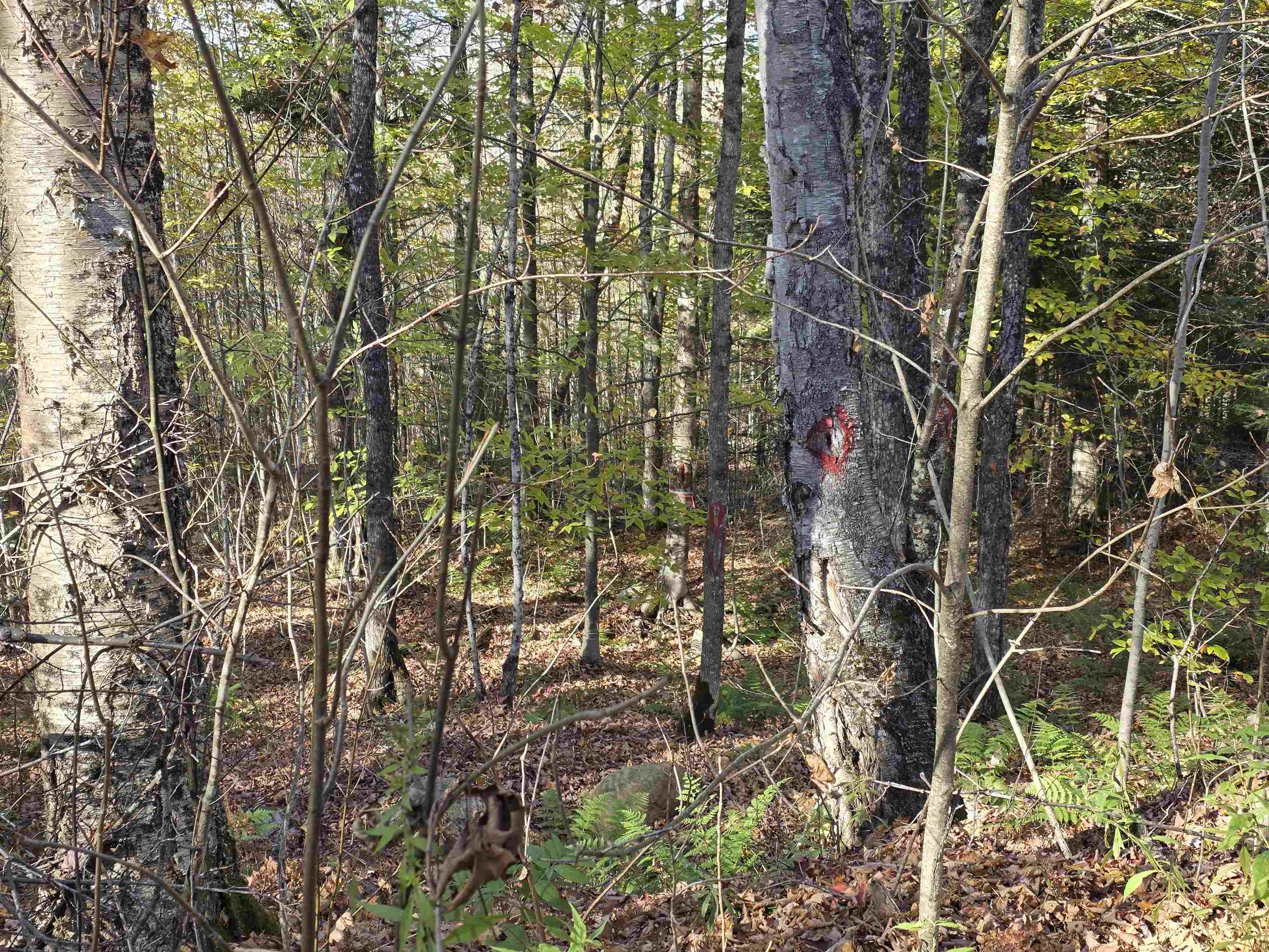 Columbia, New Hampshire 03576, United States, ,Land,Active,222627