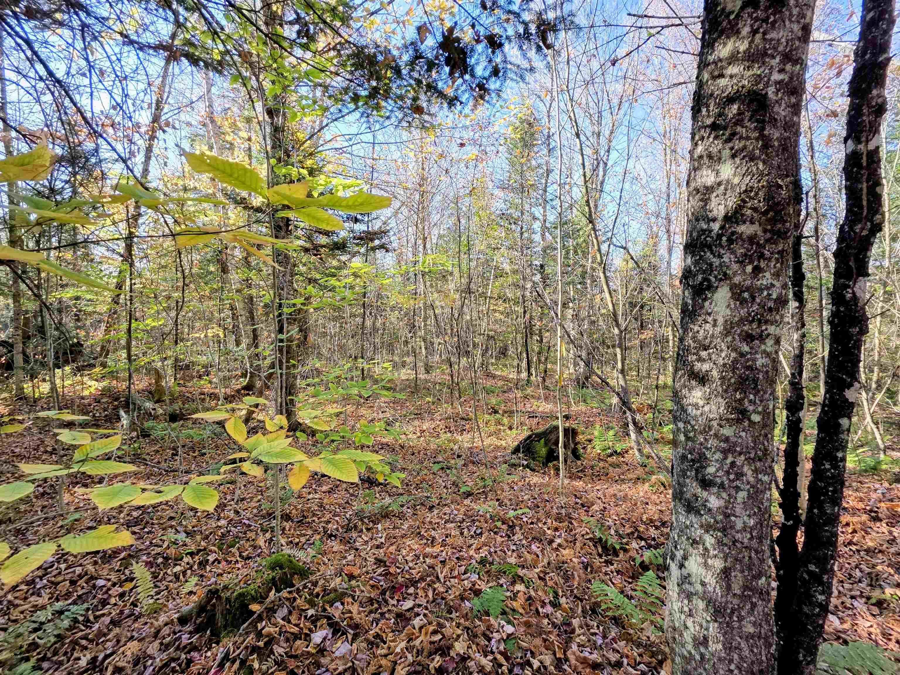 Columbia, New Hampshire 03576, United States, ,Land,Active,222627