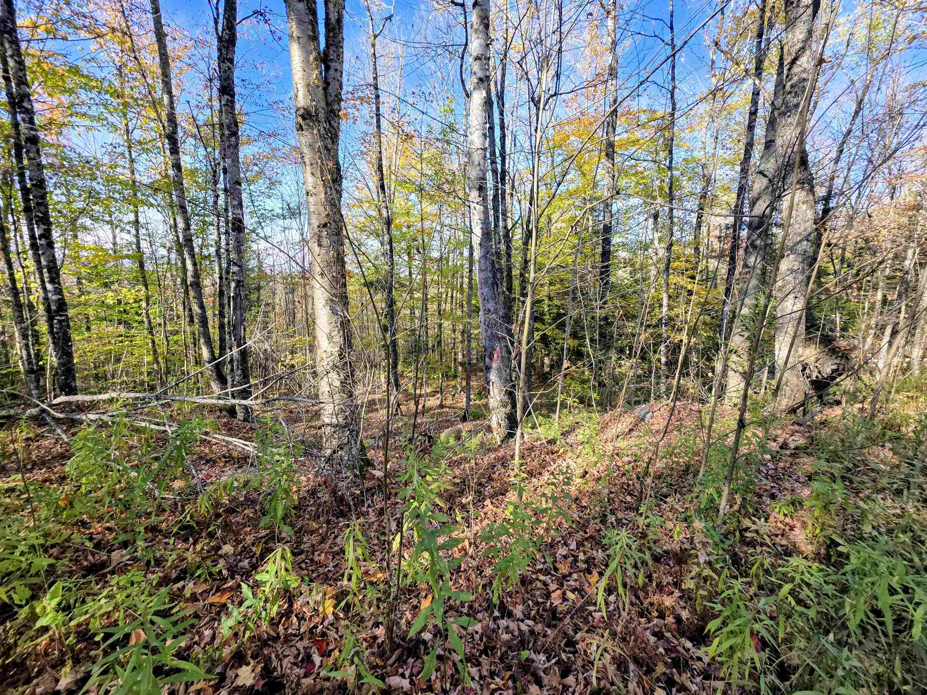 Columbia, New Hampshire 03576, United States, ,Land,Active,222627