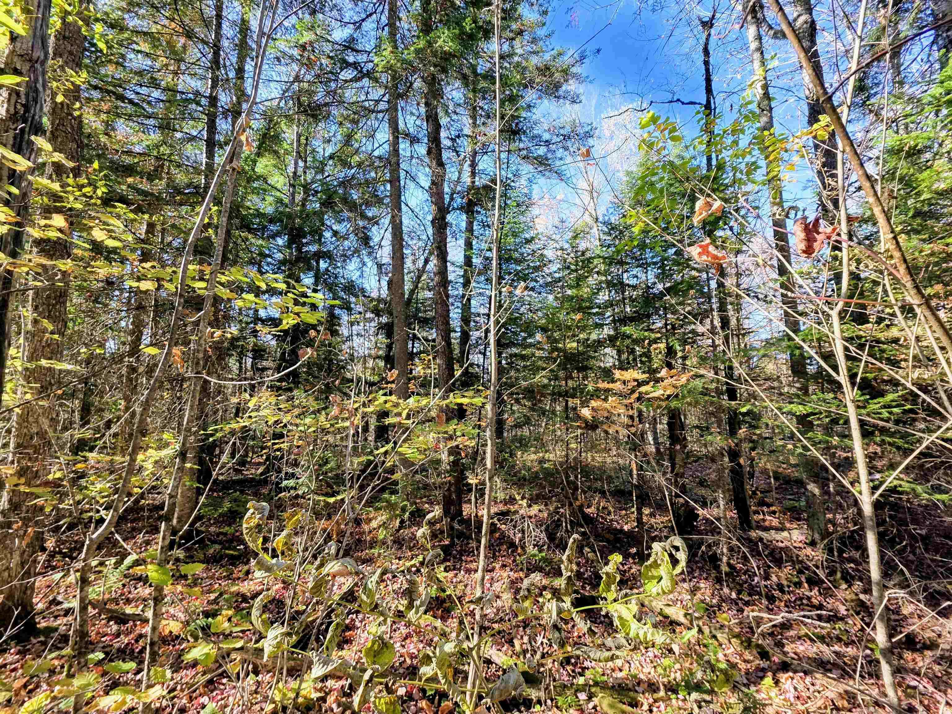 Columbia, New Hampshire 03576, United States, ,Land,Active,222627