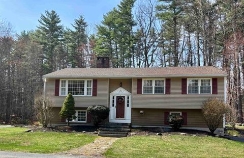 Photo of 125 Nashua Road, Bedford, NH 03110 (MLS # 5084063)