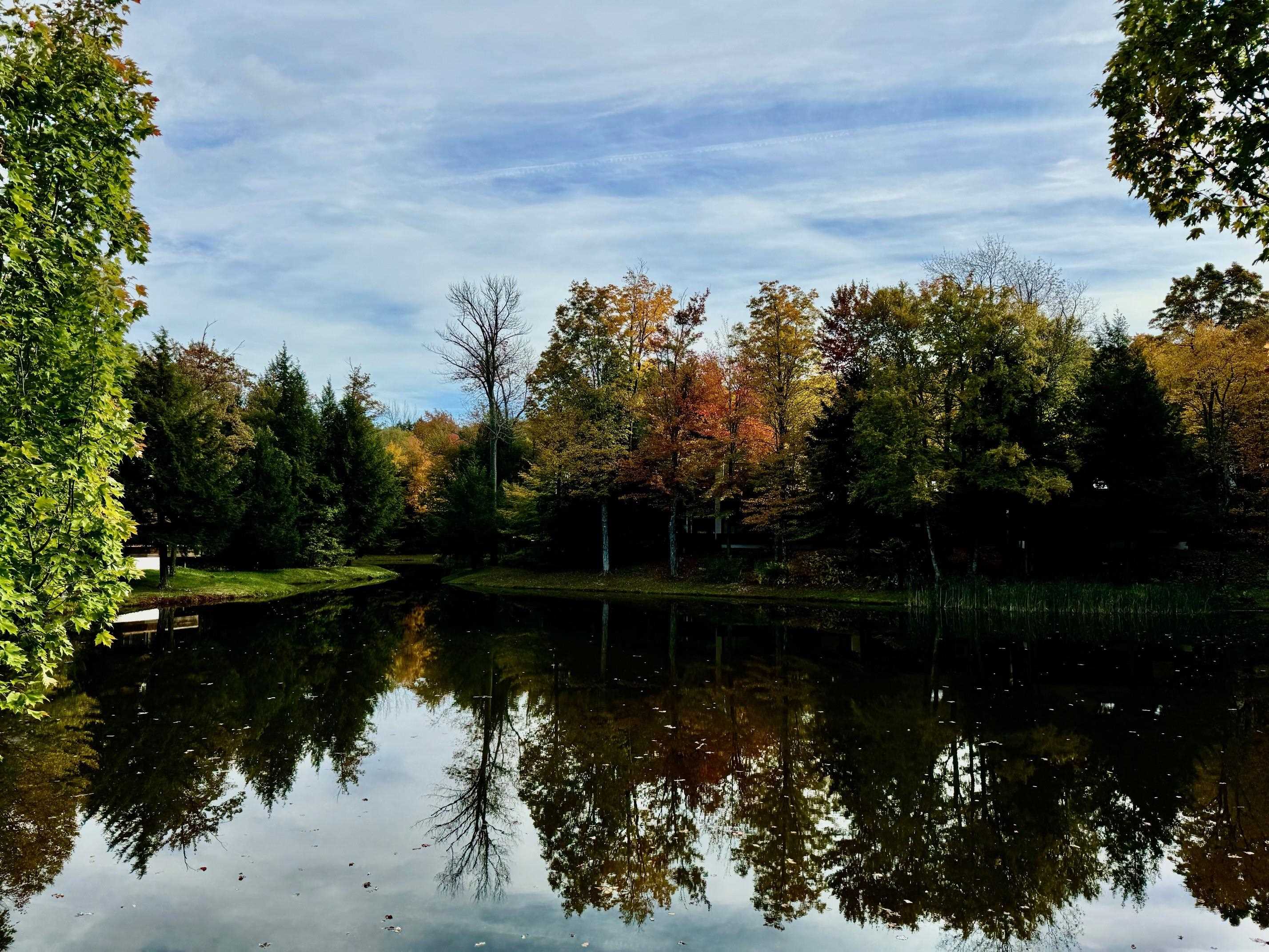 Winhall, Vermont 05340, United States, 3 Bedrooms Bedrooms, ,3 BathroomsBathrooms,Residential,Active,90425