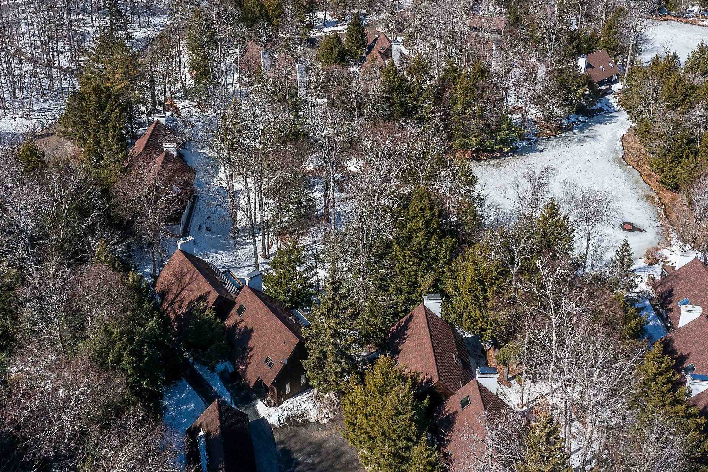 Winhall, Vermont 05340, United States, 3 Bedrooms Bedrooms, ,3 BathroomsBathrooms,Residential,Active,90425