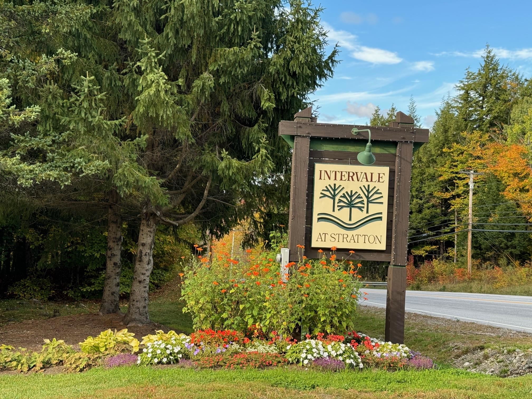 Winhall, Vermont 05340, United States, 3 Bedrooms Bedrooms, ,3 BathroomsBathrooms,Residential,Active,90425