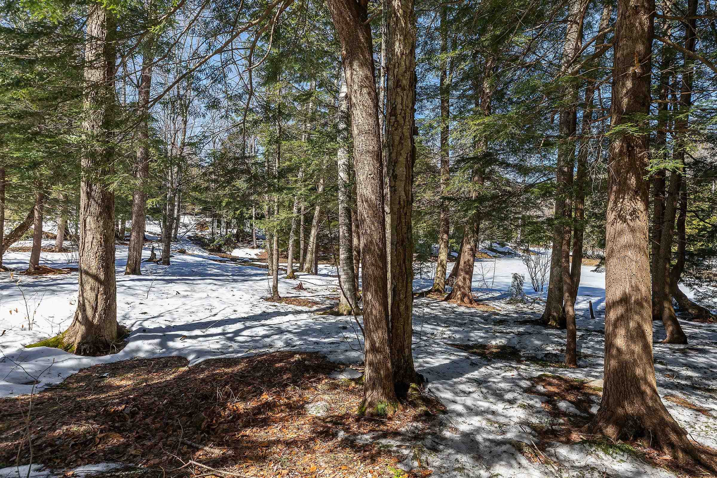 Winhall, Vermont 05340, United States, 3 Bedrooms Bedrooms, ,3 BathroomsBathrooms,Residential,Active,90425