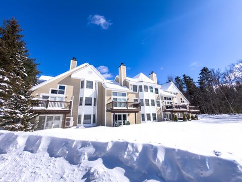 9D Dover Springs Lane Dover VT 05356