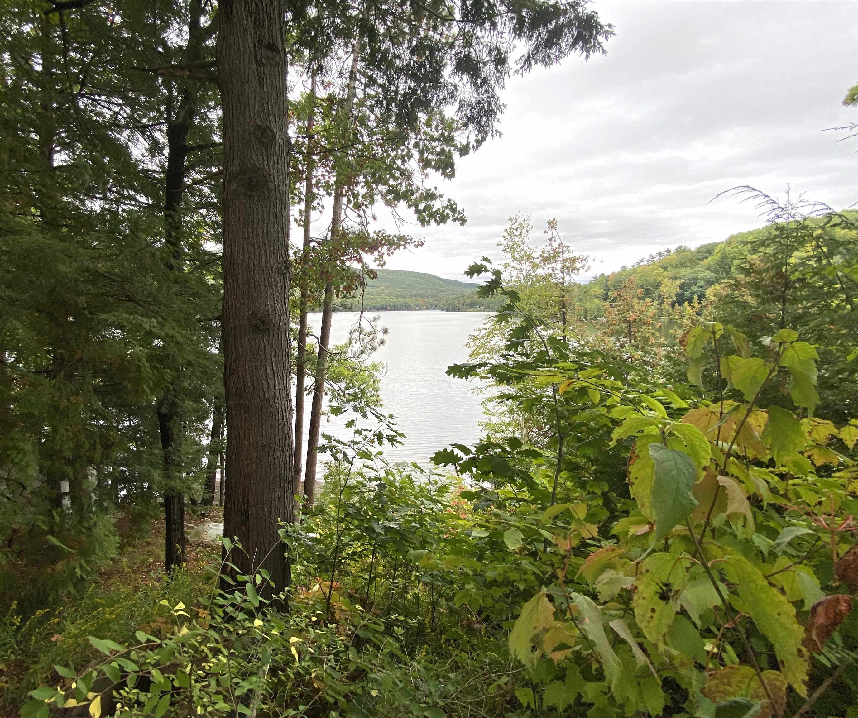 Leicester, Vermont 05733, United States, 4 Bedrooms Bedrooms, ,2 BathroomsBathrooms,Residential,Active,216433