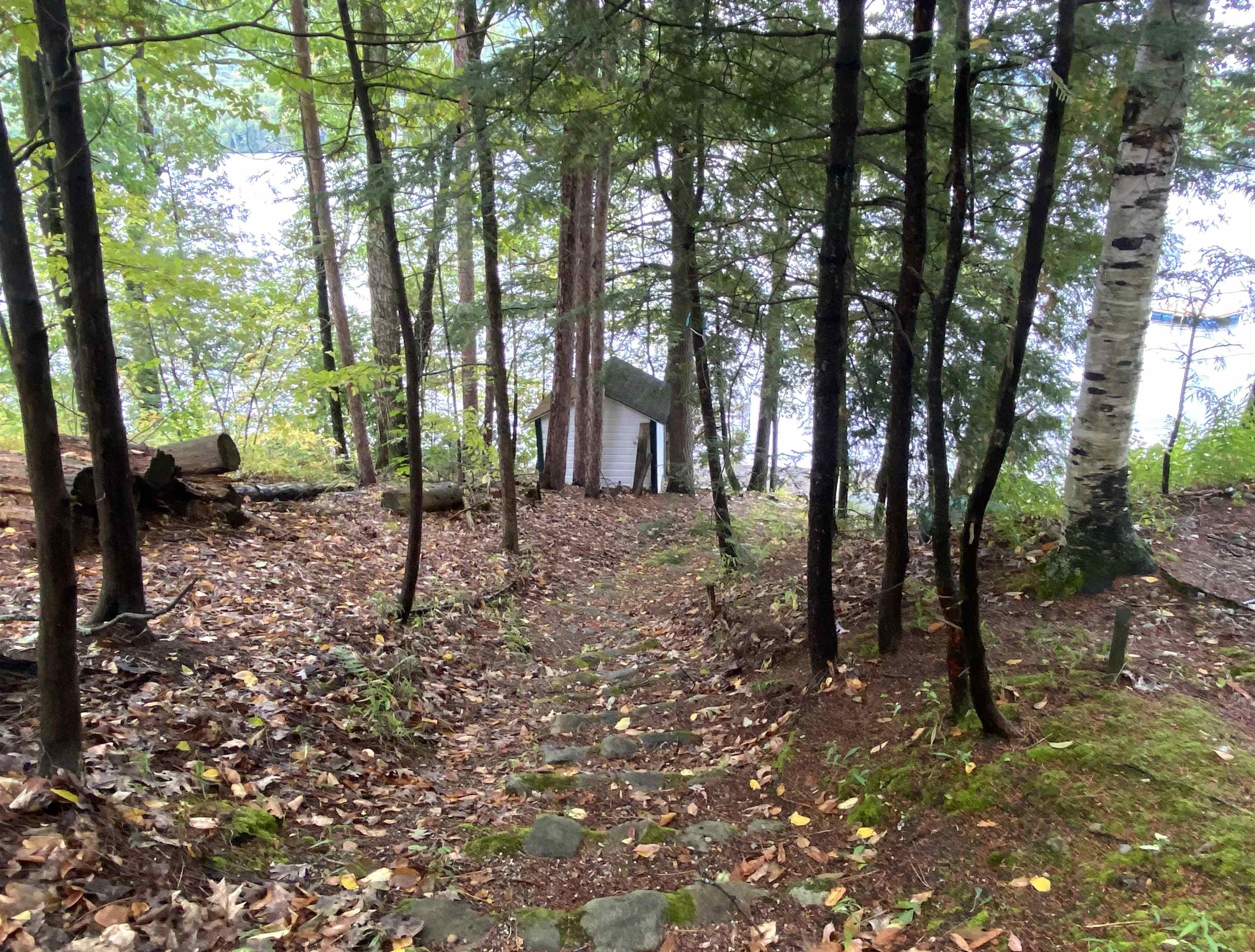 Leicester, Vermont 05733, United States, 4 Bedrooms Bedrooms, ,2 BathroomsBathrooms,Residential,Active,216433