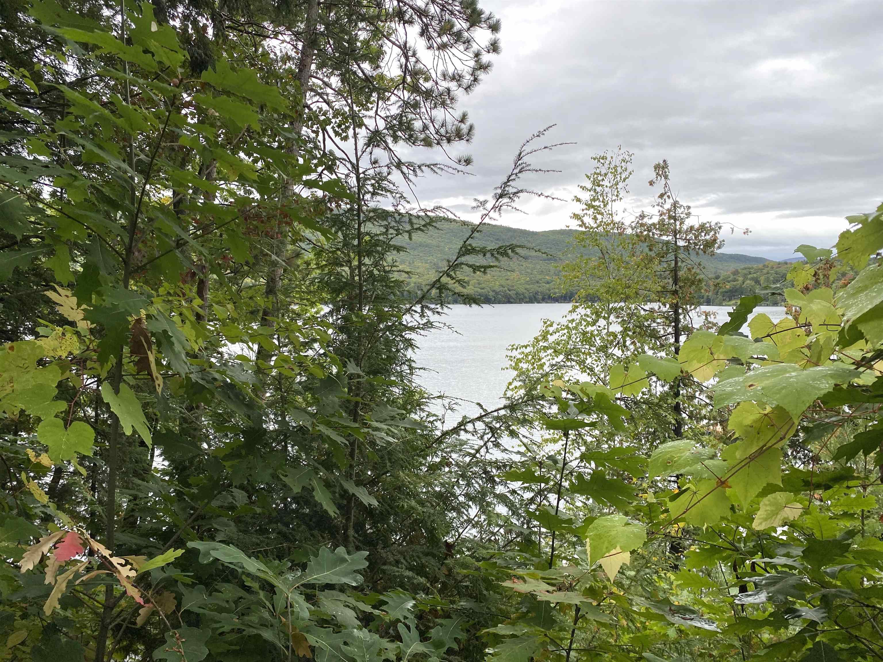 Leicester, Vermont 05733, United States, 4 Bedrooms Bedrooms, ,2 BathroomsBathrooms,Residential,Active,216433