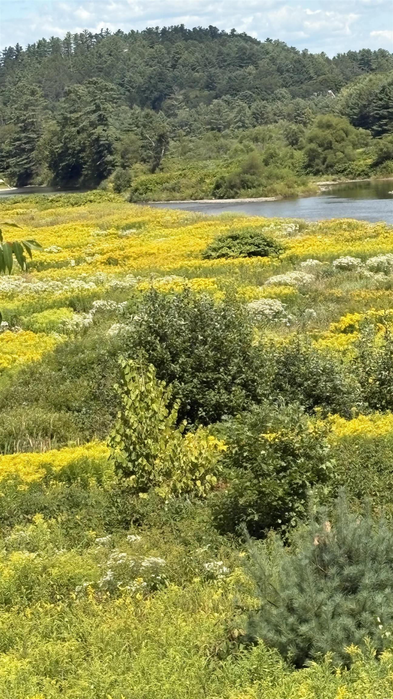 610 Bishop Road 18-2-1 & 180-2-2