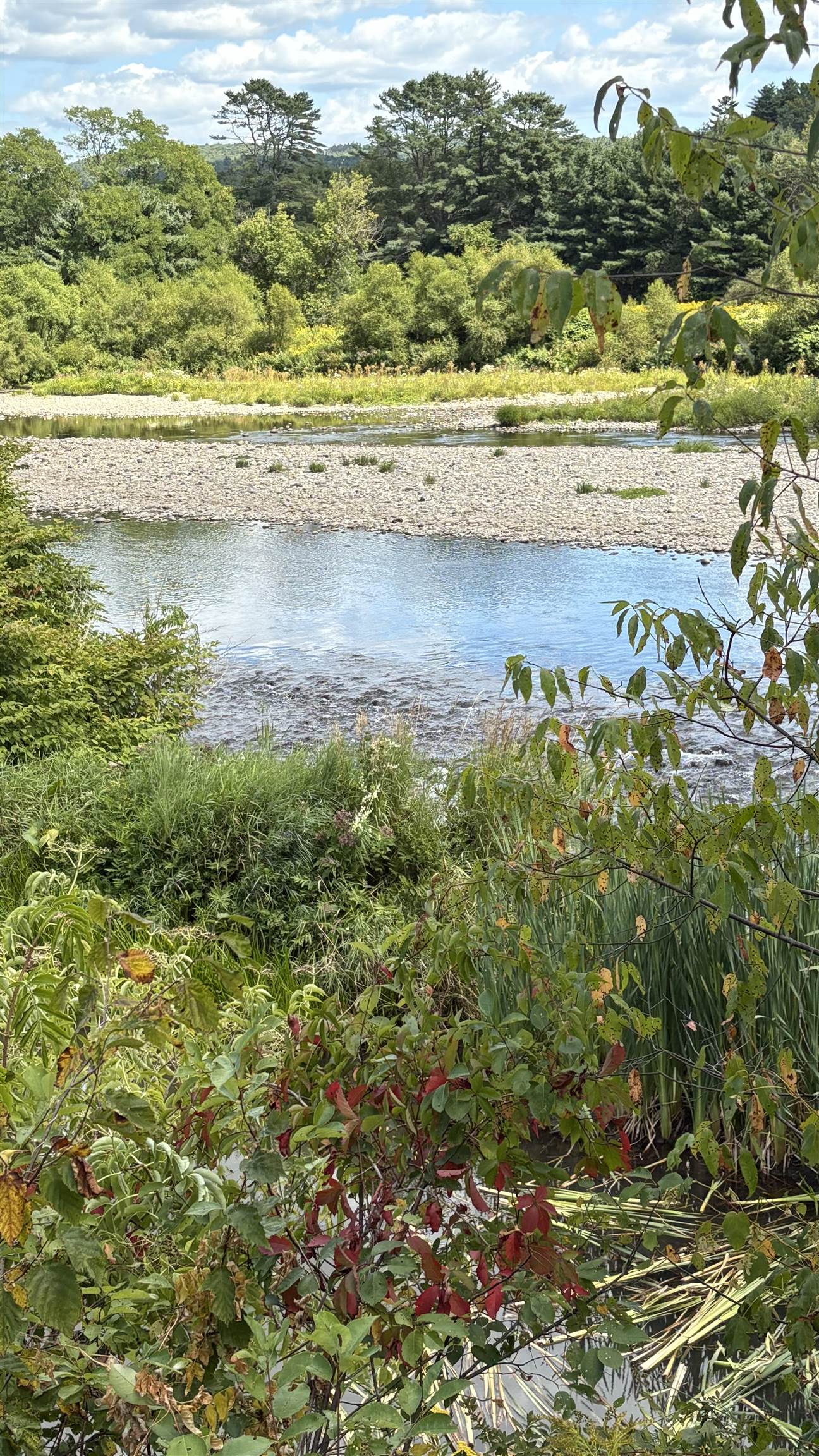 610 Bishop Road 18-2-1 & 180-2-2