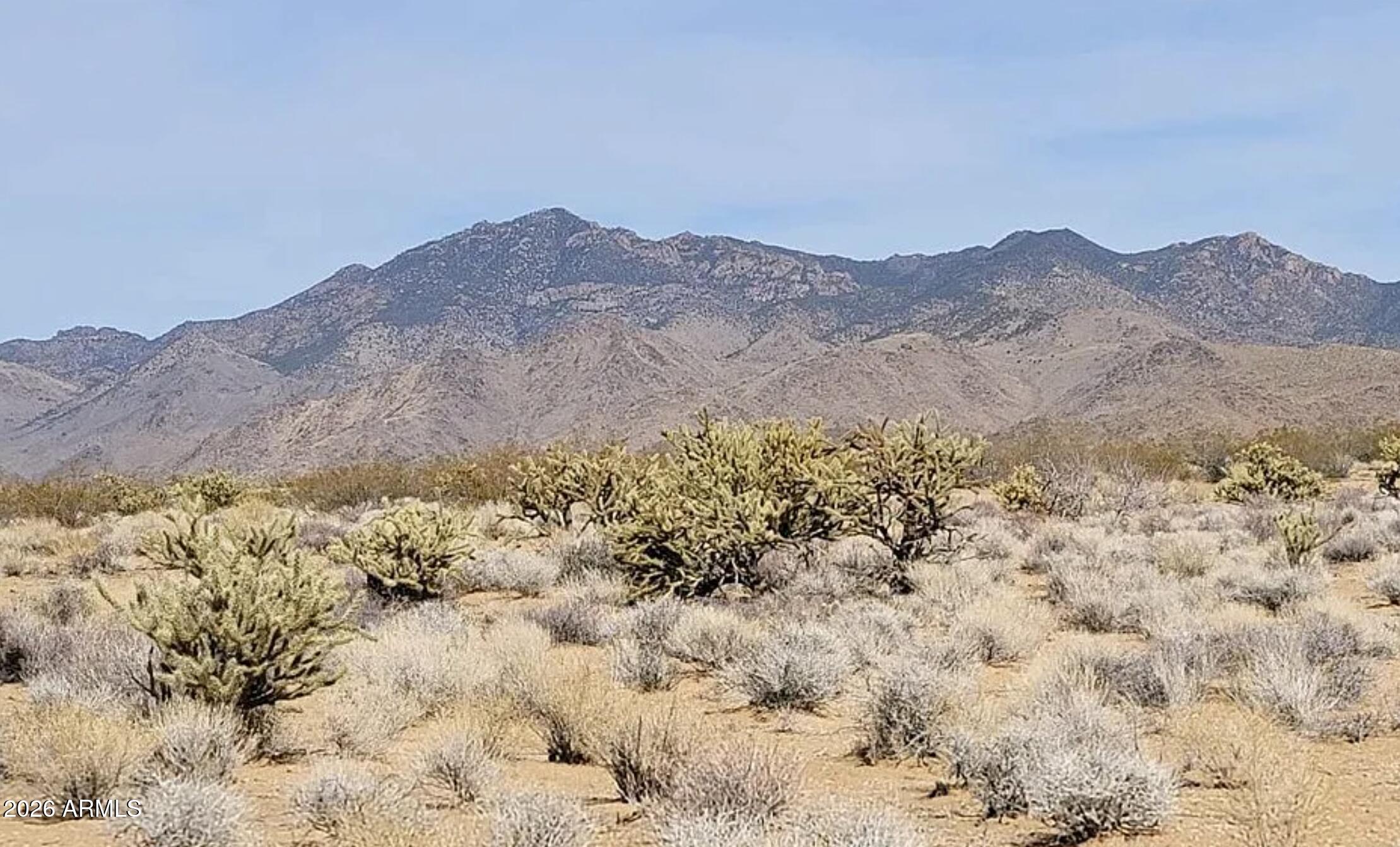 12375 N Cotton Drive -