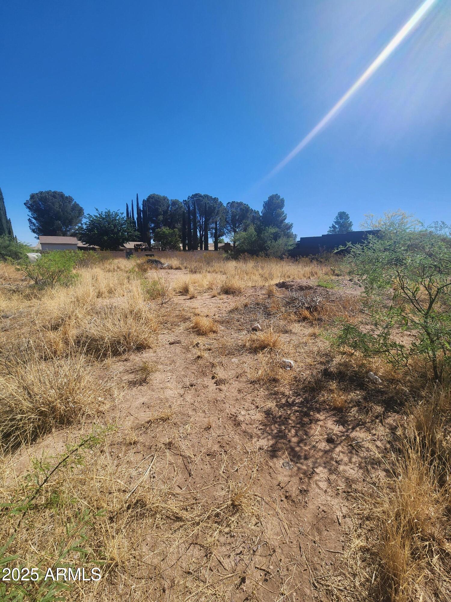 2804 E Borane Street LOT 15