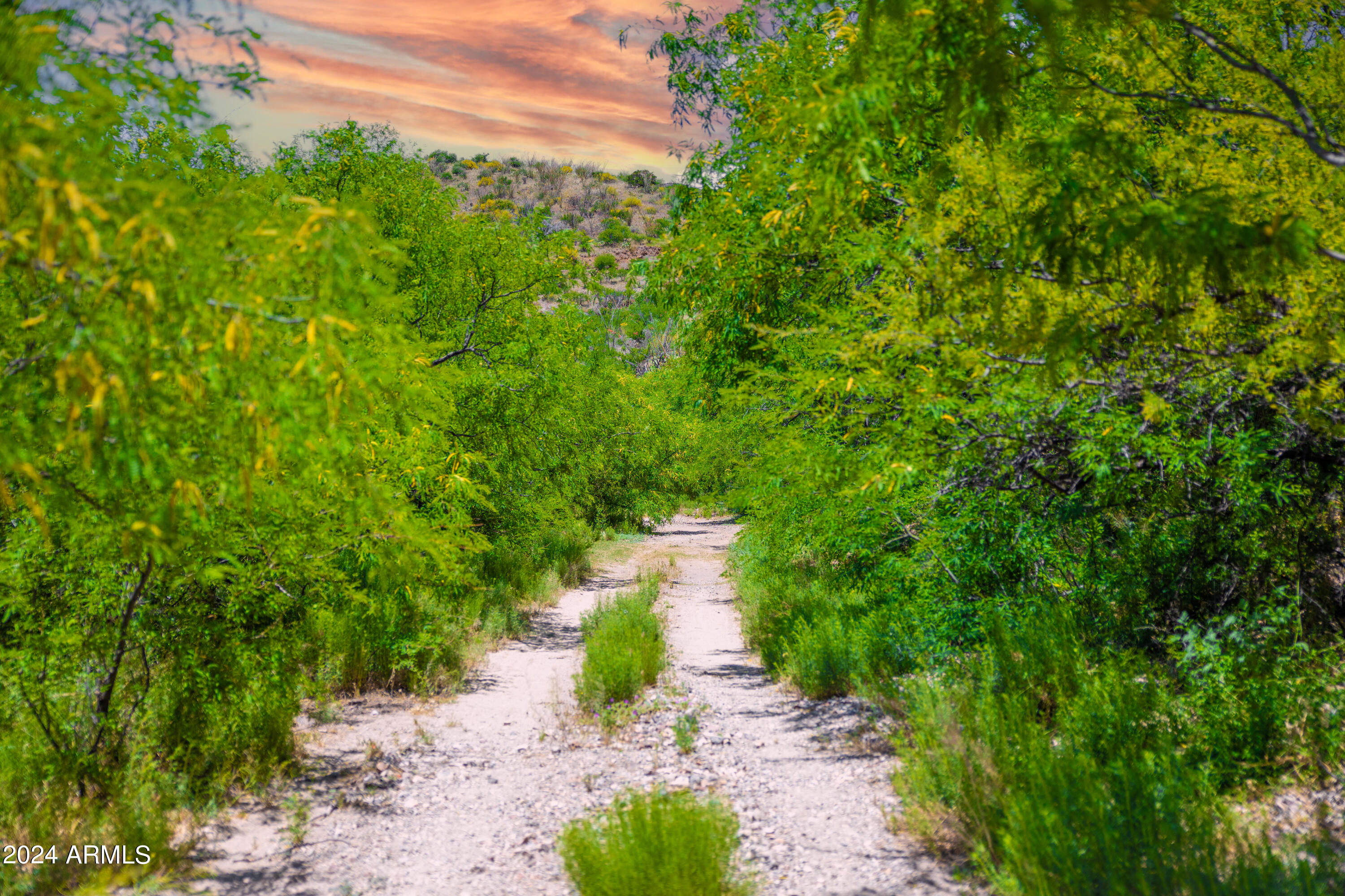 0 N Charleau Gap Road -