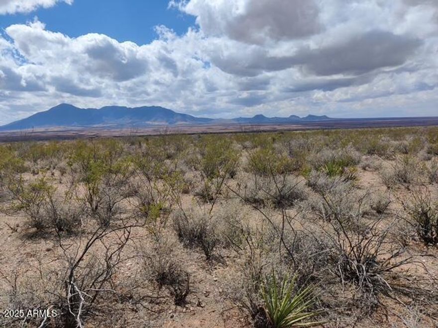 LOOKING FOR PEACE AND QUIET? Welcome home to this extraordinary property with 37+ acres of breathtaking 360 views of multiple majestic mountains. You can build your dream home, workshop and your garden, all while watching the sunrise and sunsets in our beautiful Arizona skies and not to far from Bisbee, Sierra Vista and Tombstone. It's also, zoned RU-4 land, which has the potential to be subdivided. This land welcomes livestock and horses, manufactured homes, site built homes and no HOA and ready for you to start your adventure.
