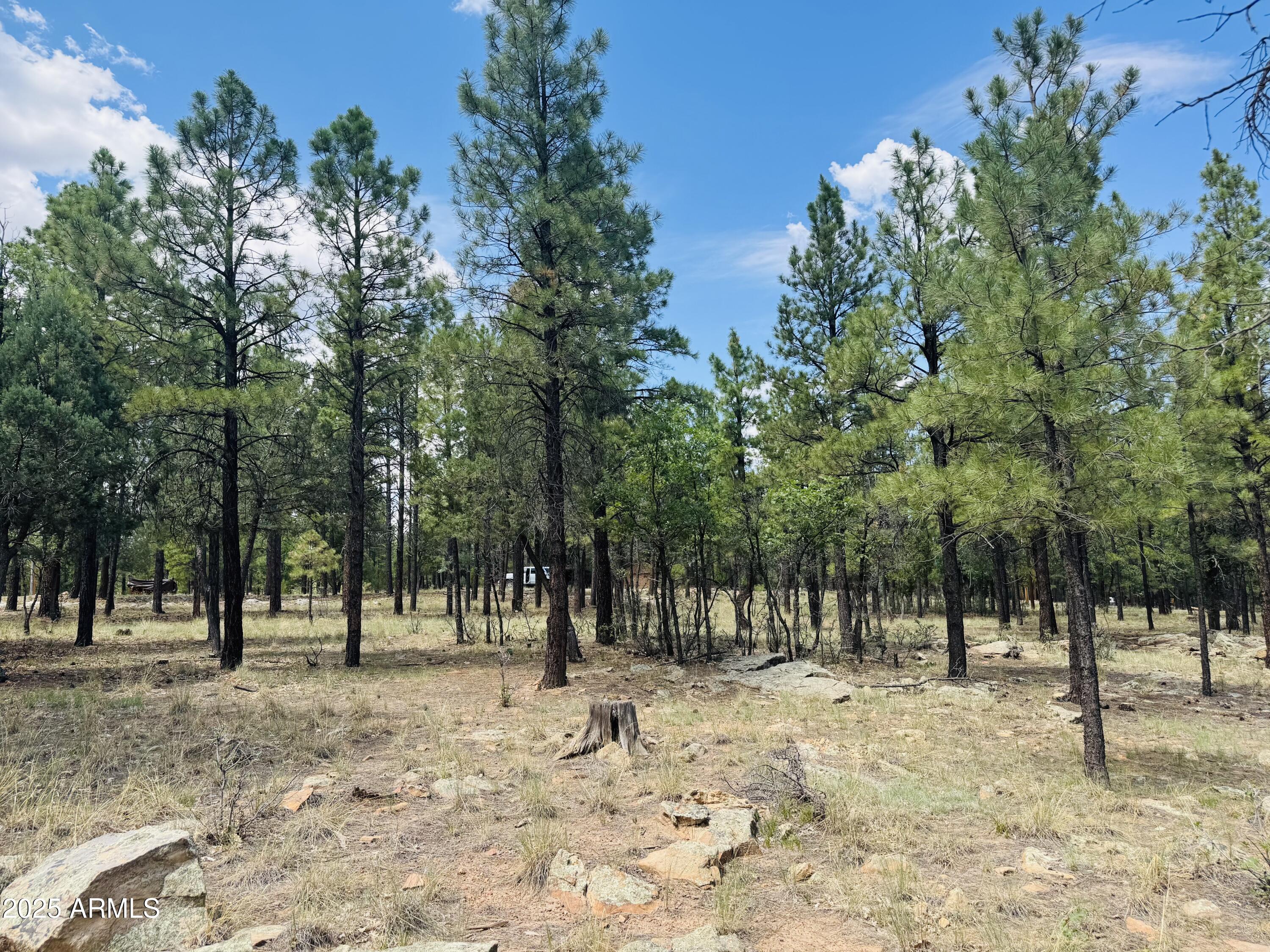 4185 APACHE Drive 429