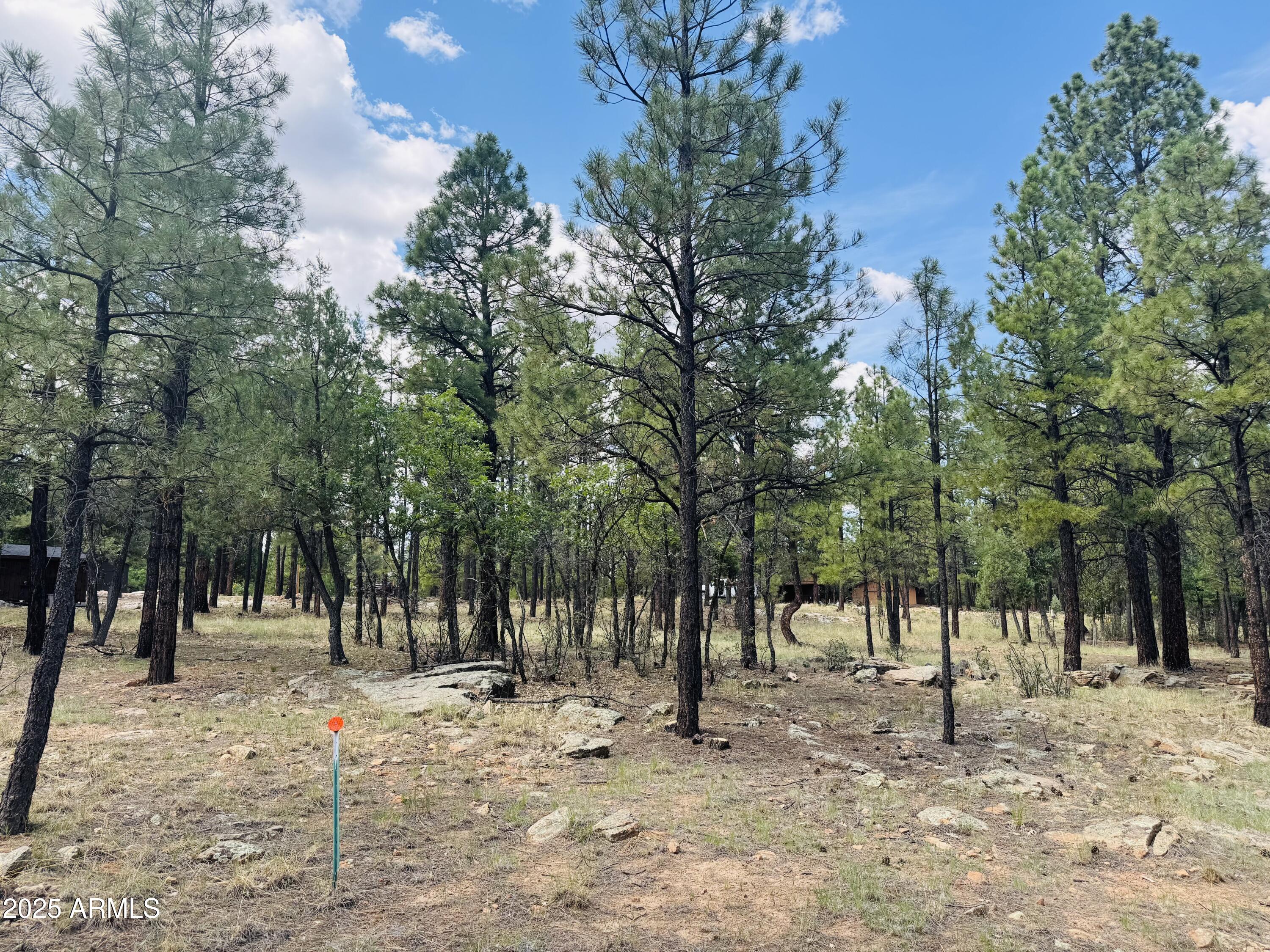 4185 APACHE Drive 429