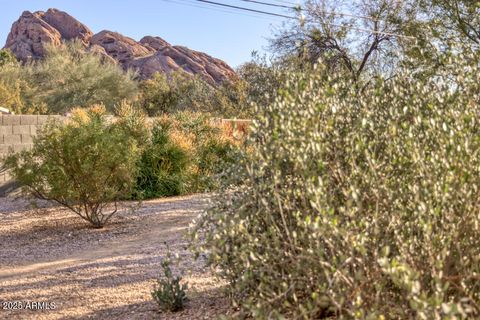 listing image 50