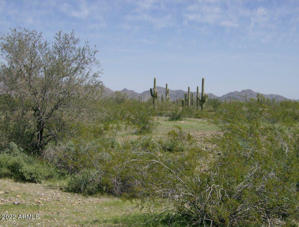 SURVEY SECS 5 8 N2 NW4 SEC 9 2N 7W PT 24-27 3N 7W - Land