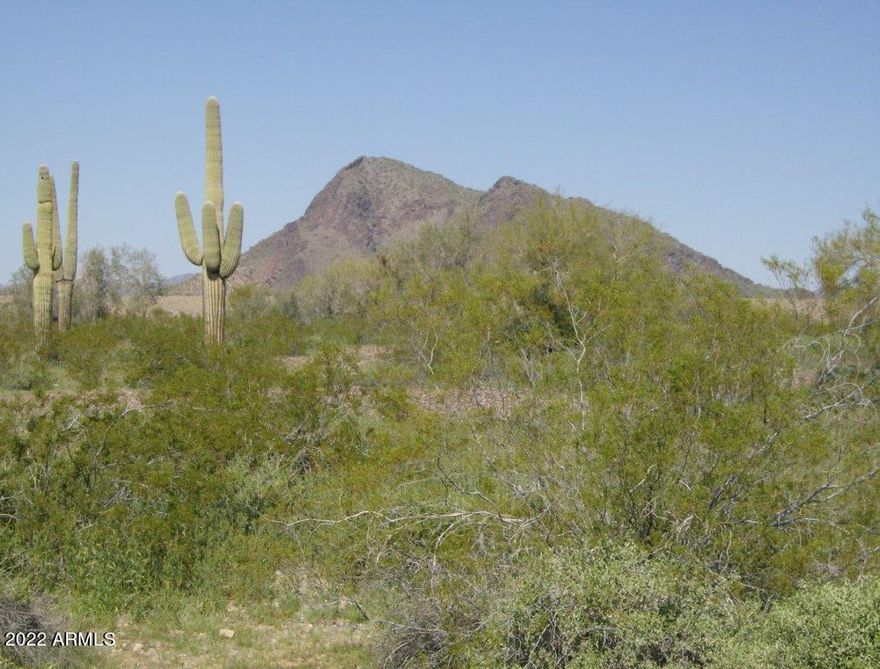 Seller Financing Available! Make an offer! Lot 56 in West Valley Ranches bordering the BLM land and CAP. Your own secluded parcel of land with saguaros and panoramic views of the Belmont Mountains to the north.  No HOA, associations or governing boards, only Maricopa County zoning regulations. This area has great access to the 31,200-acre Hummingbird Springs Wilderness known for Saguaros, chollas, ocotillos, paloverdes and mesquite. Most of the wilderness is habitat for desert bighorn sheep, mule deer and desert tortoise.