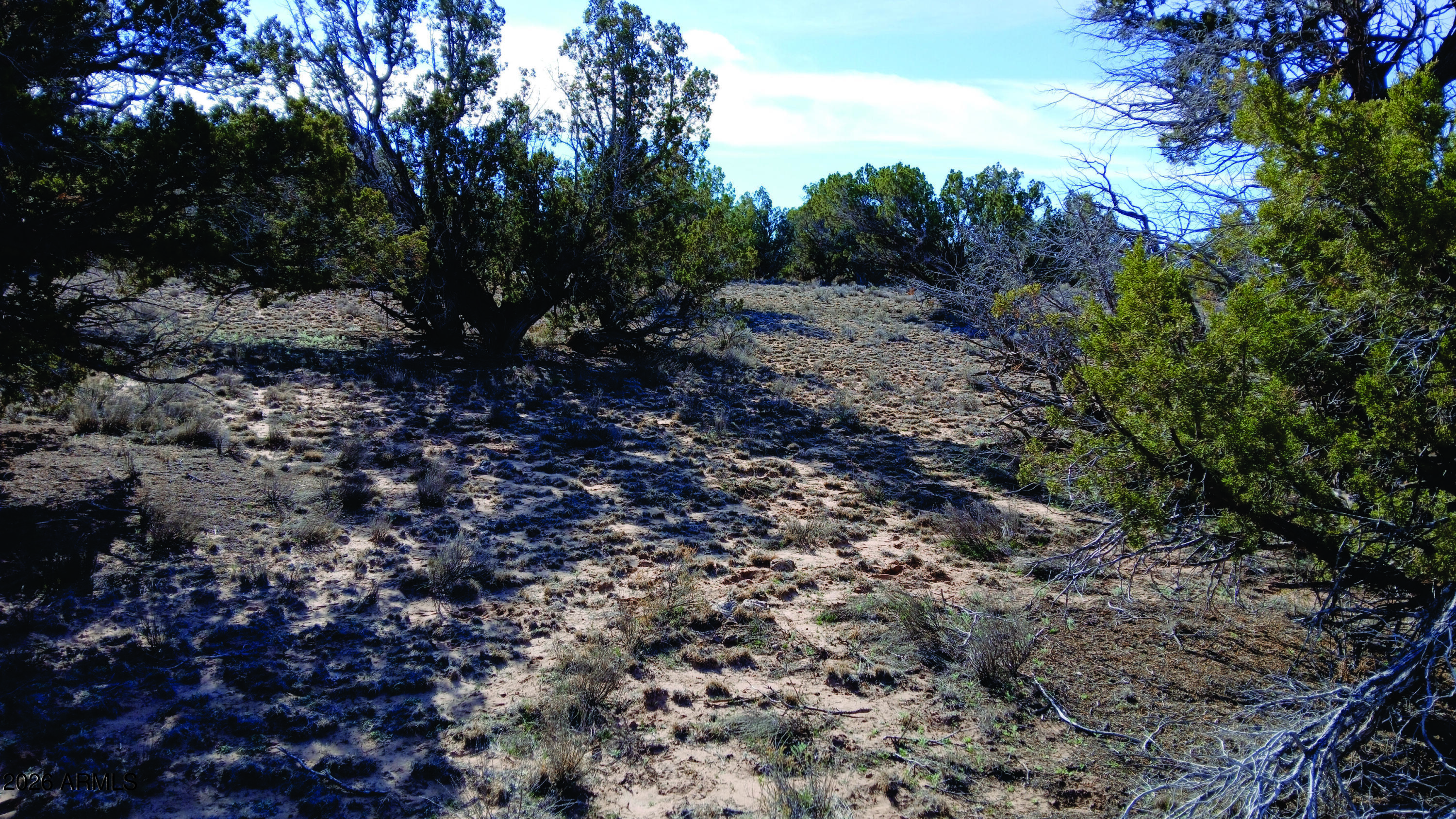 8.96 Acres N7407 -- 382,38