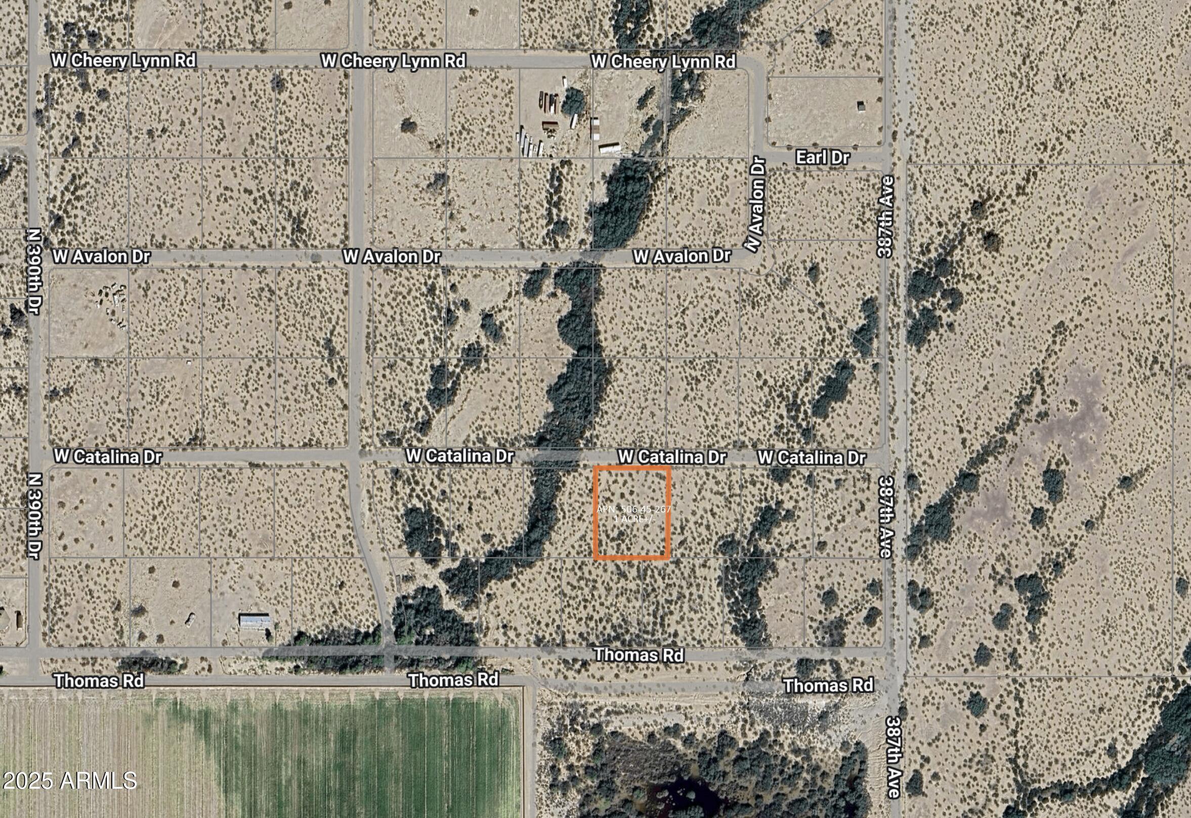 38801 W CATALINA Drive -