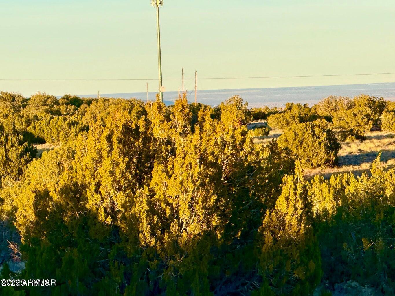 136 Zuni Dr 1.04 Acres -- -